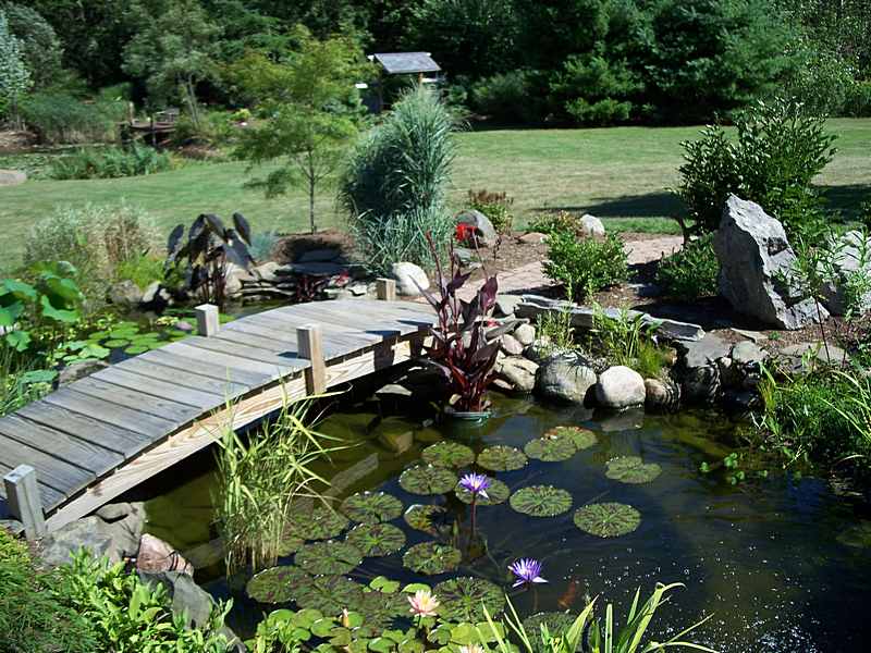 garden-pond-bridge-2.jpg