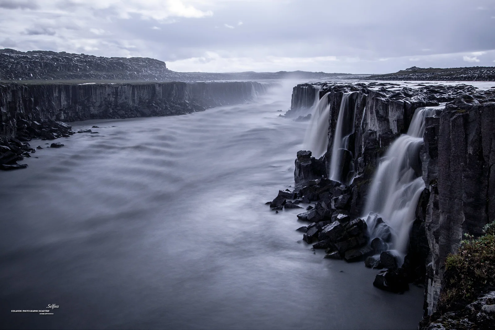 SELFOSS.jpg
