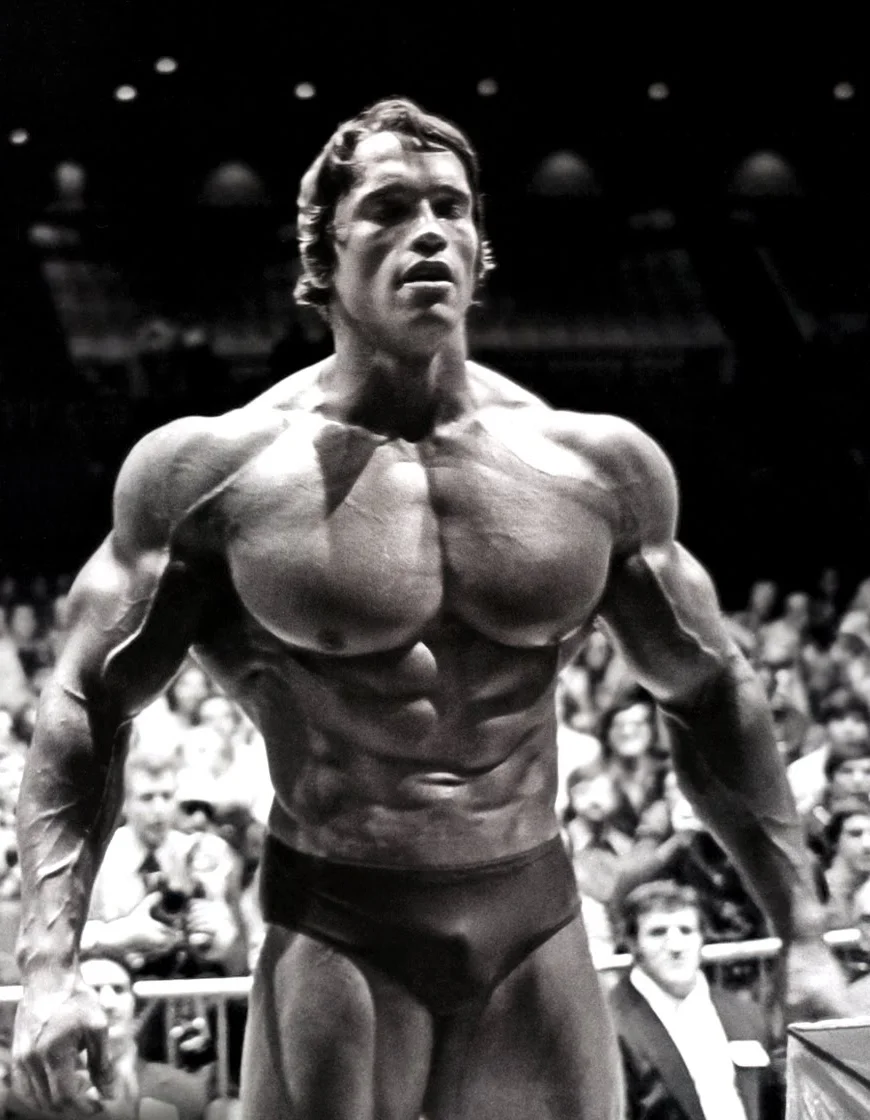 arnold-schwarznegger-perfection.jpg