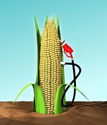 ethanol-corn.jpg
