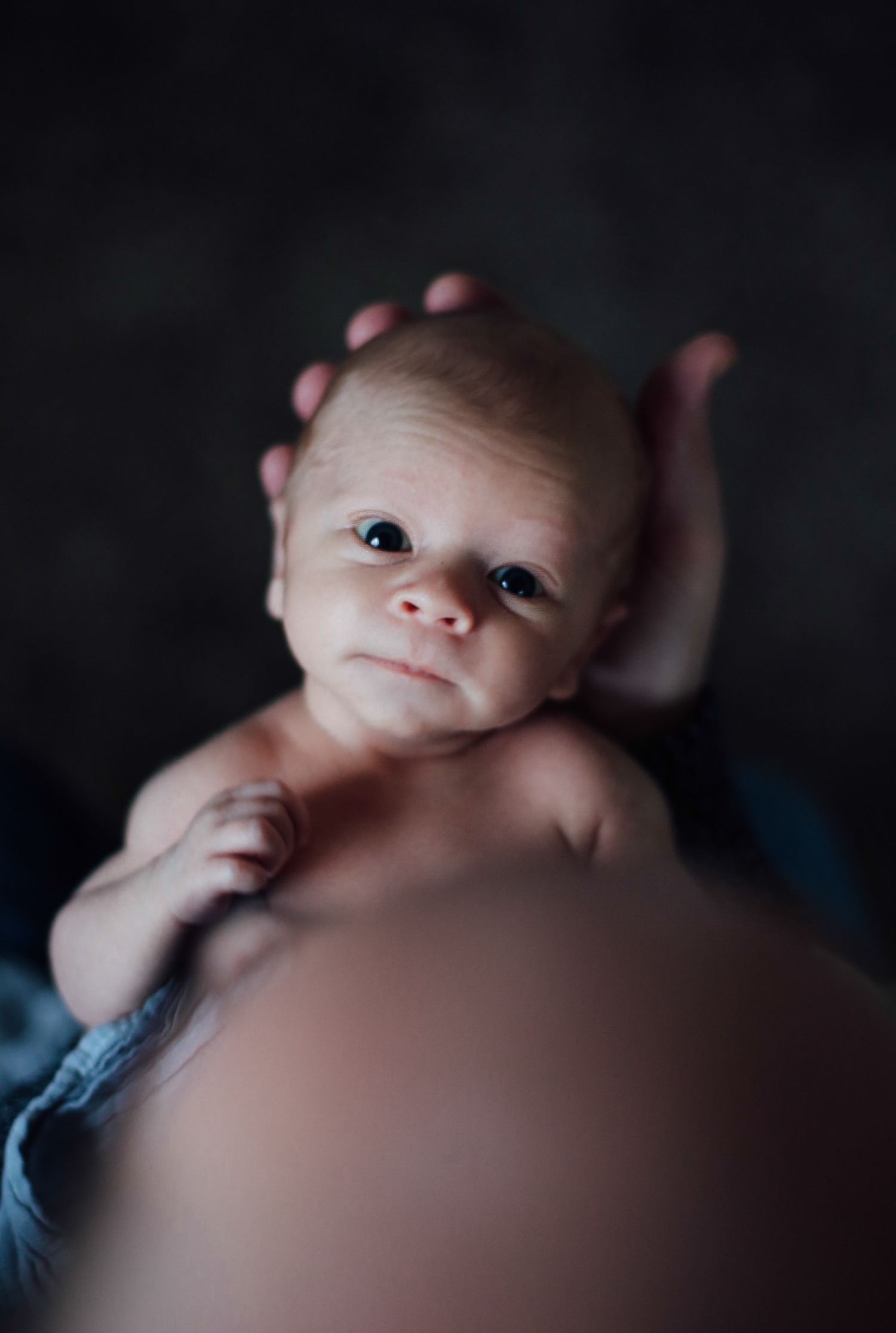 Again We Say Rejoice - In Home Newborn Photography Session (6 of 1).jpg