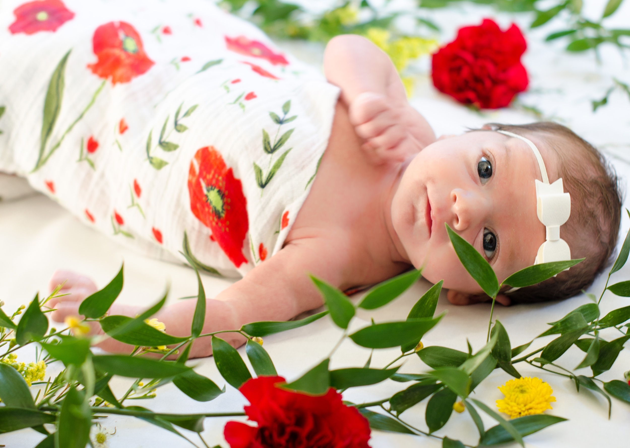 Newborn Flower Photography (1 of 1).jpg