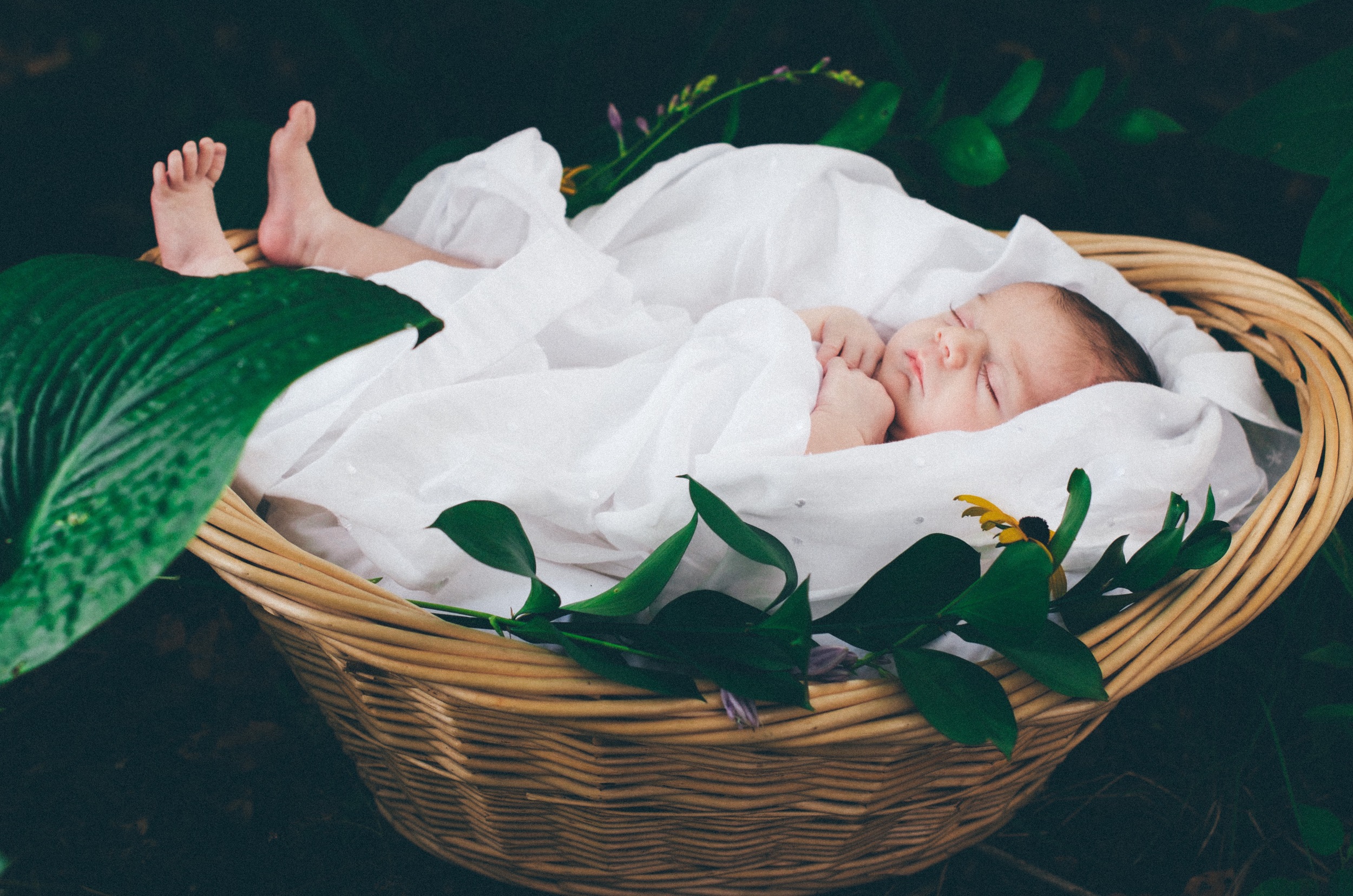 Lilias Newborn Basket Photography (4 of 7) (1).jpg