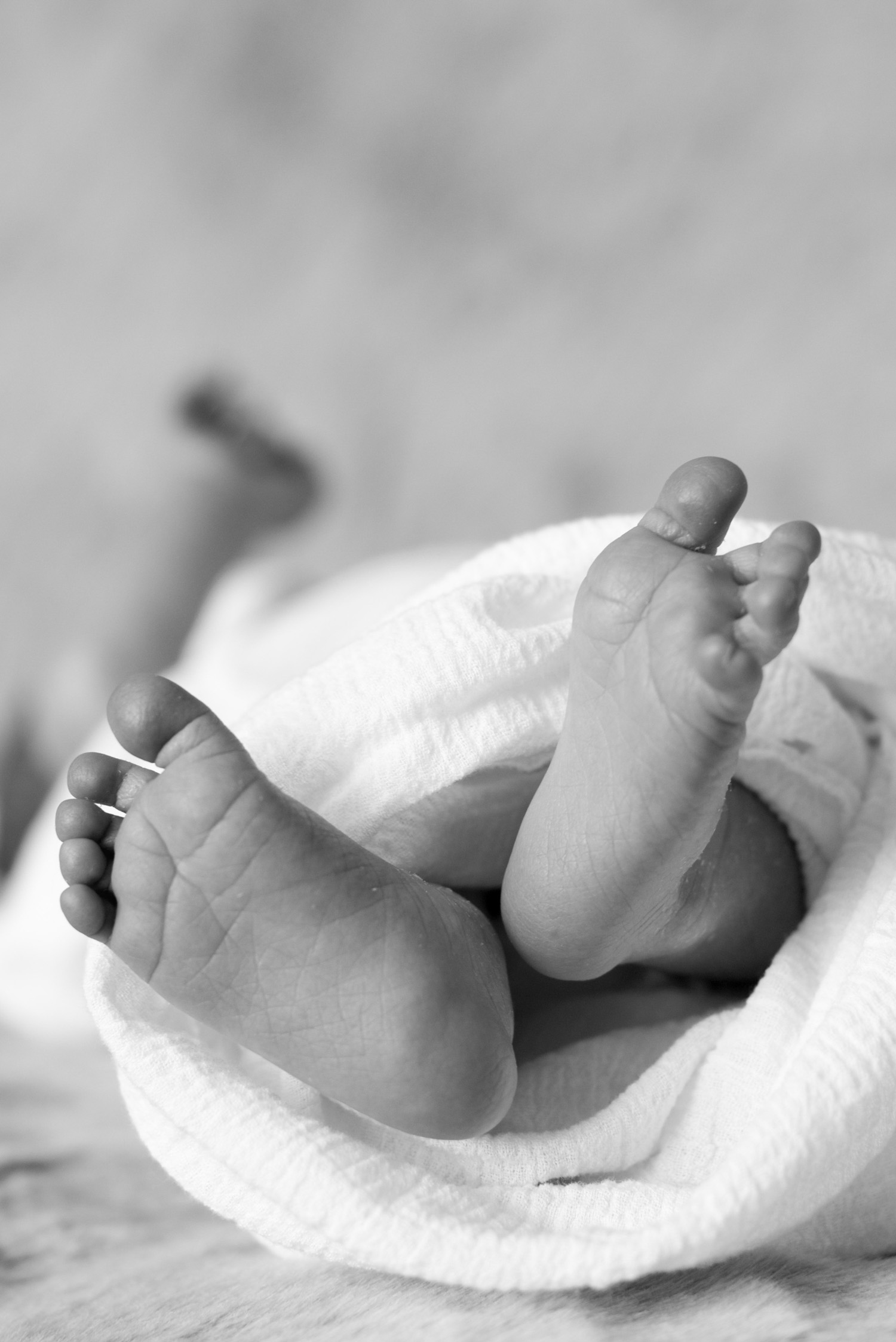 Newborn In-Home Photography Session (5 of 18).jpg