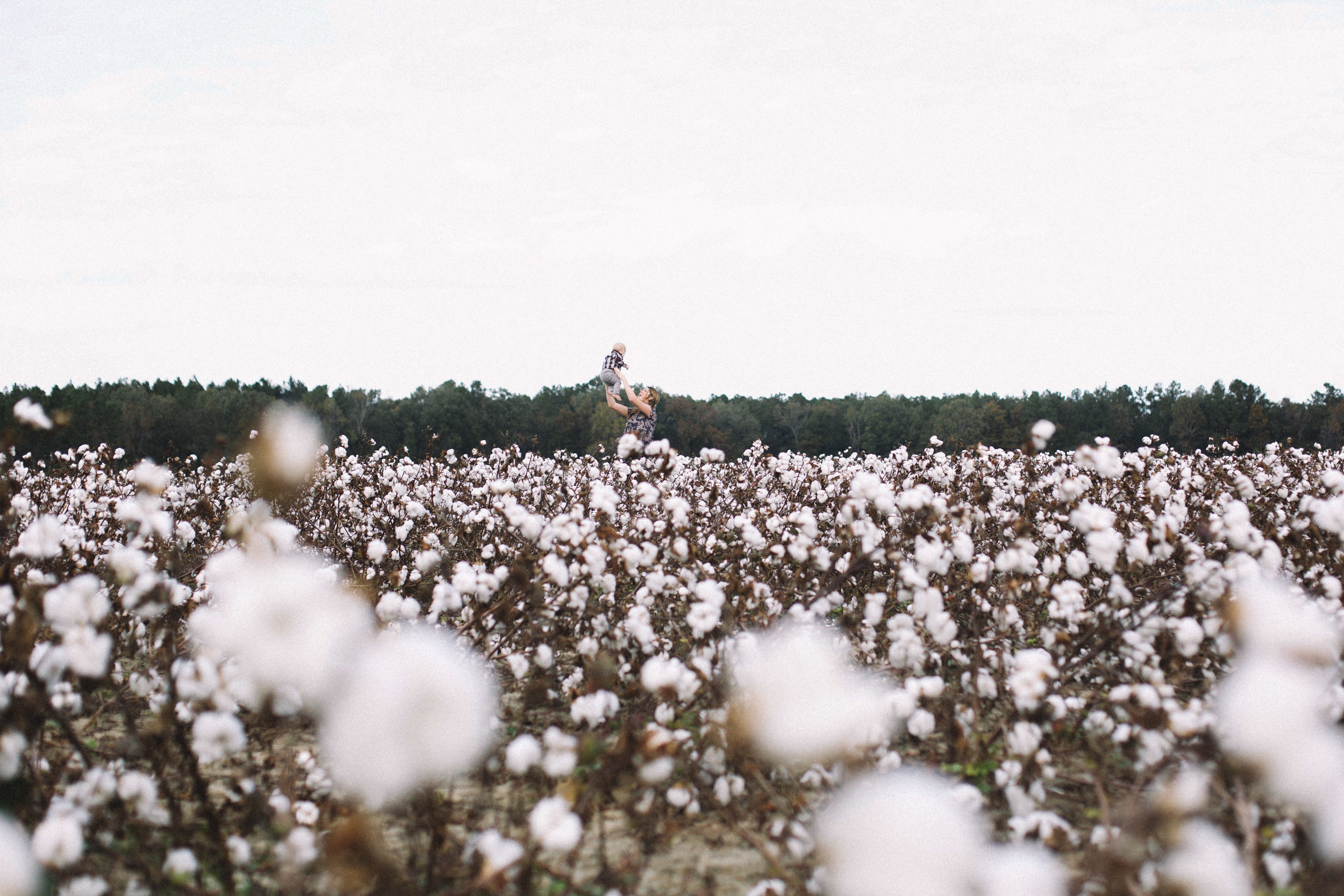 Cotton Field Maternity 17 Weeks  (3 of 28).jpg