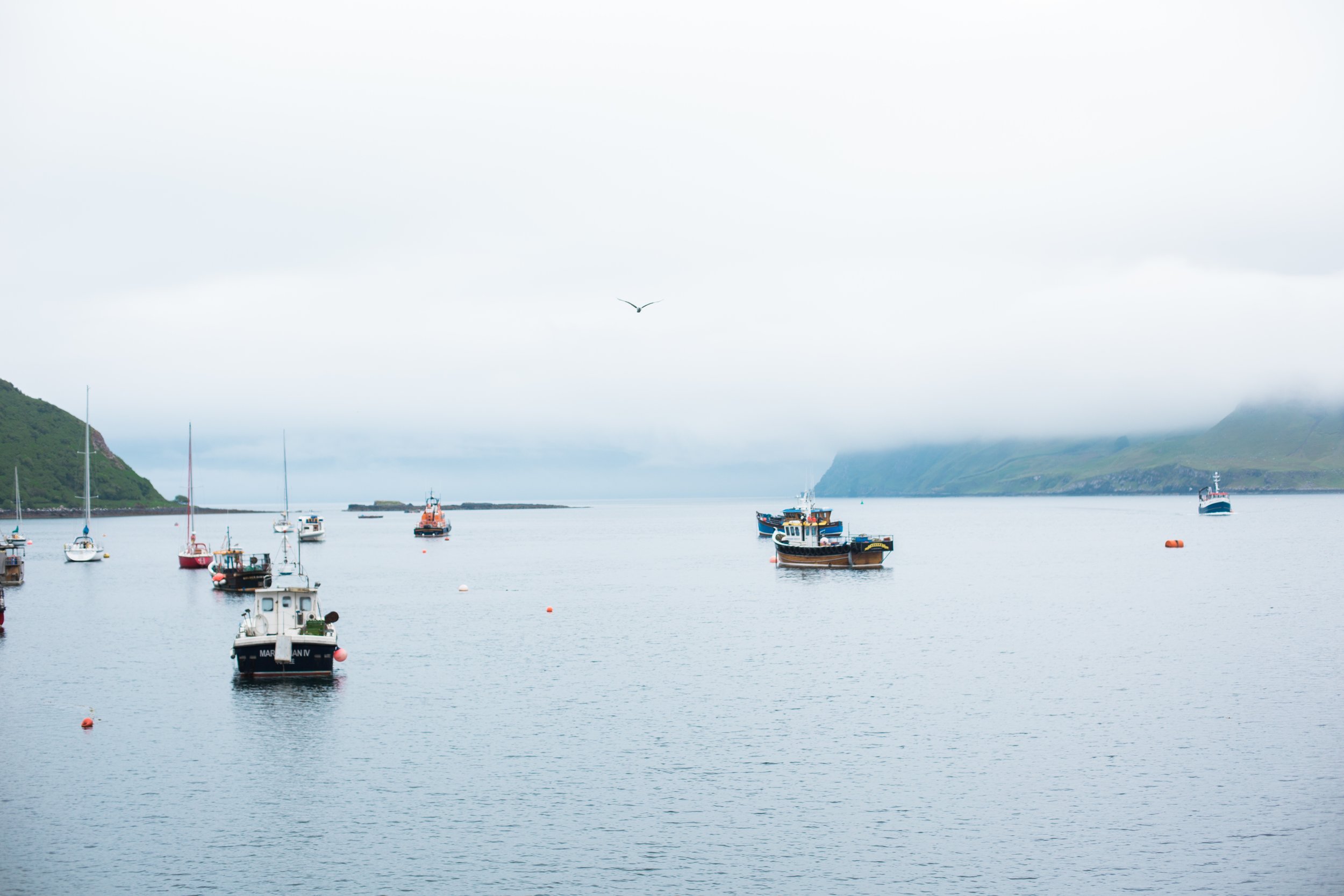 Isle of Skye Scotland Trip - portree and Quairang (10 of 142).jpg