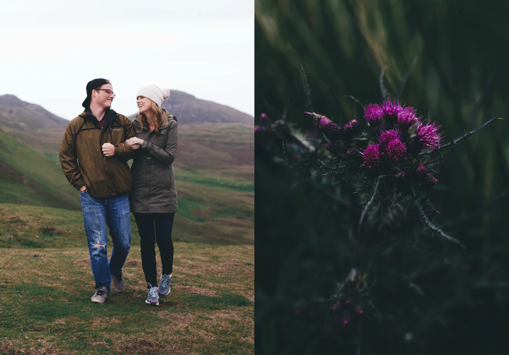 Scotland Thistle.jpg