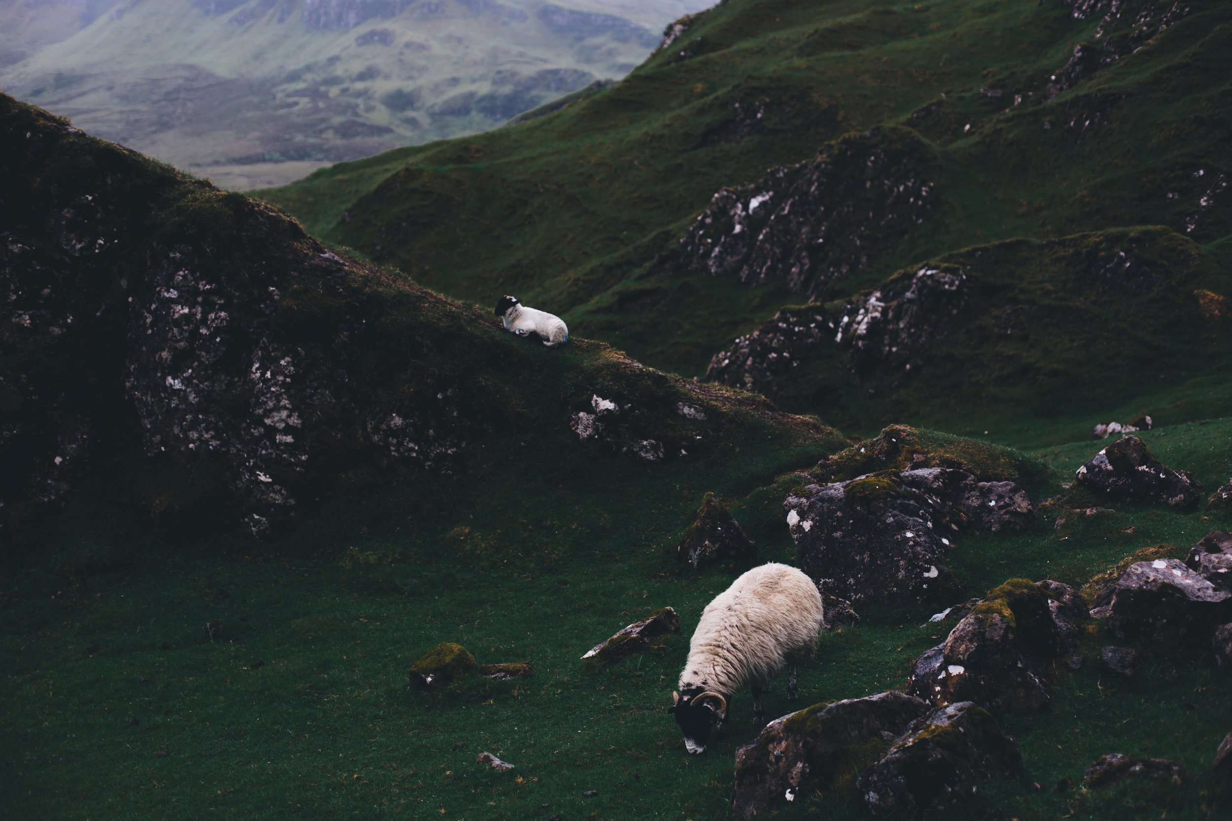 Isle of Skye Scotland Trip - portree and Quairang (134 of 142).jpg