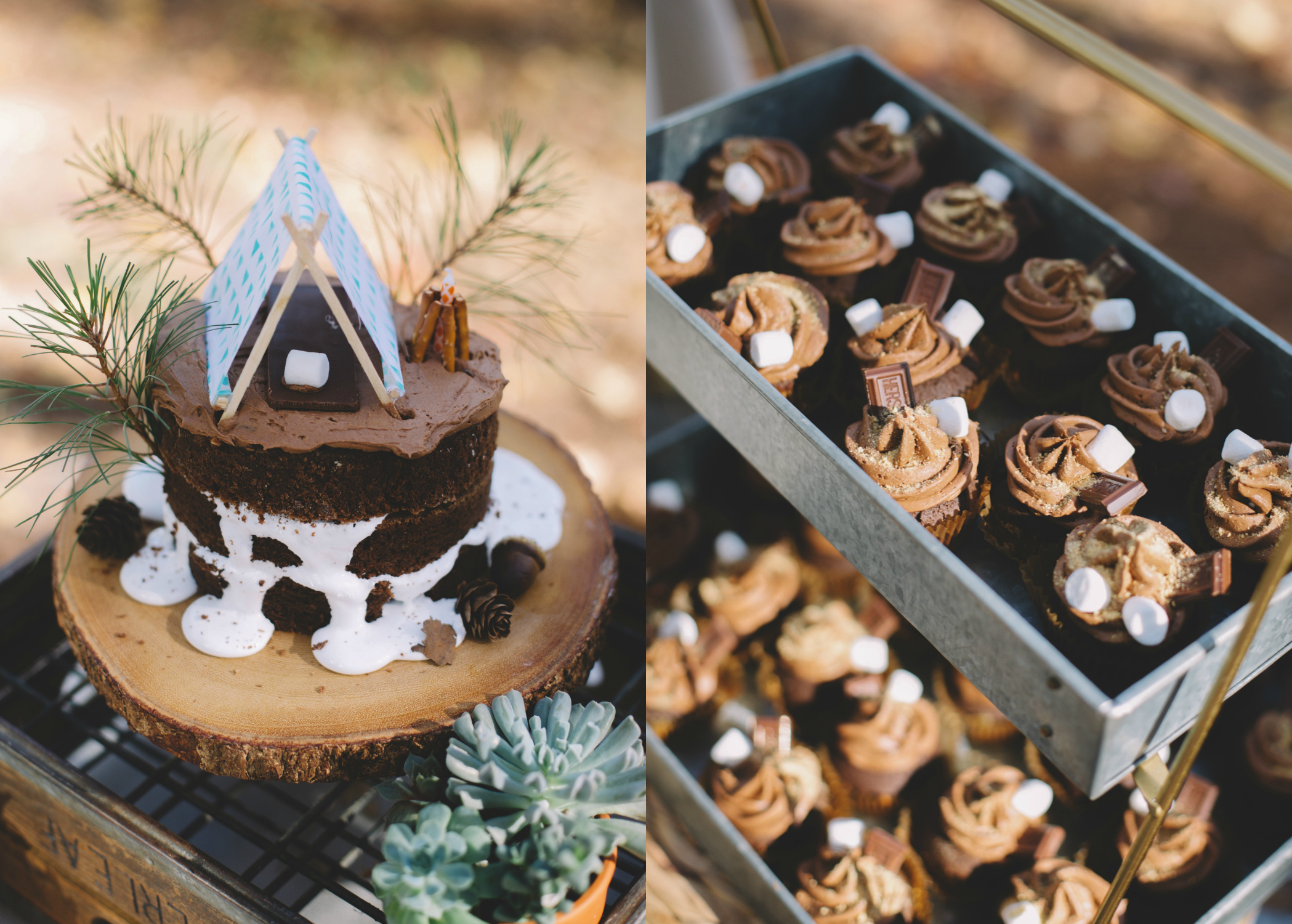 S'more Cake and Cupcakes.jpg