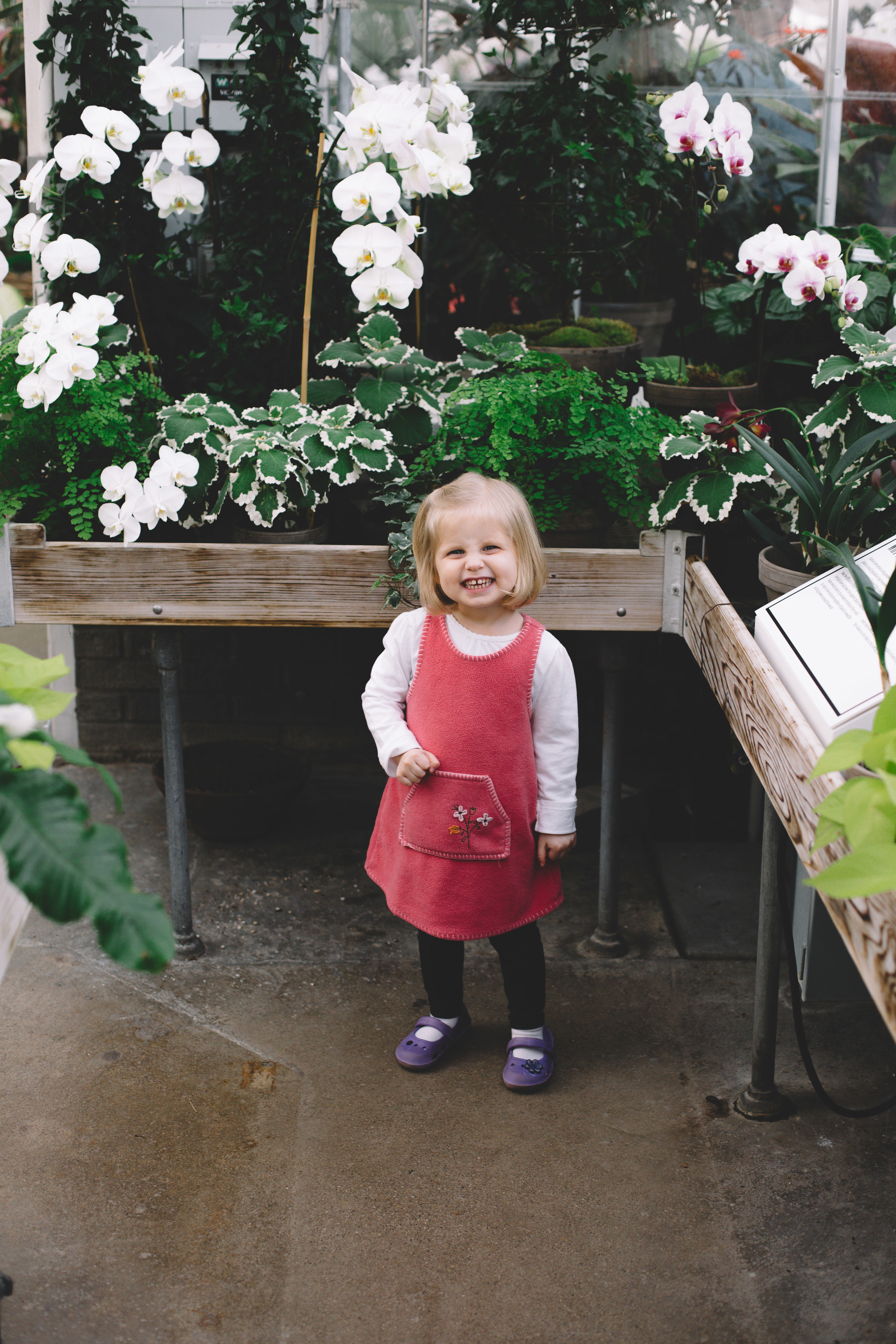 Reed Family Photography Session at the IMA Greenhouse (48 of 103).jpg