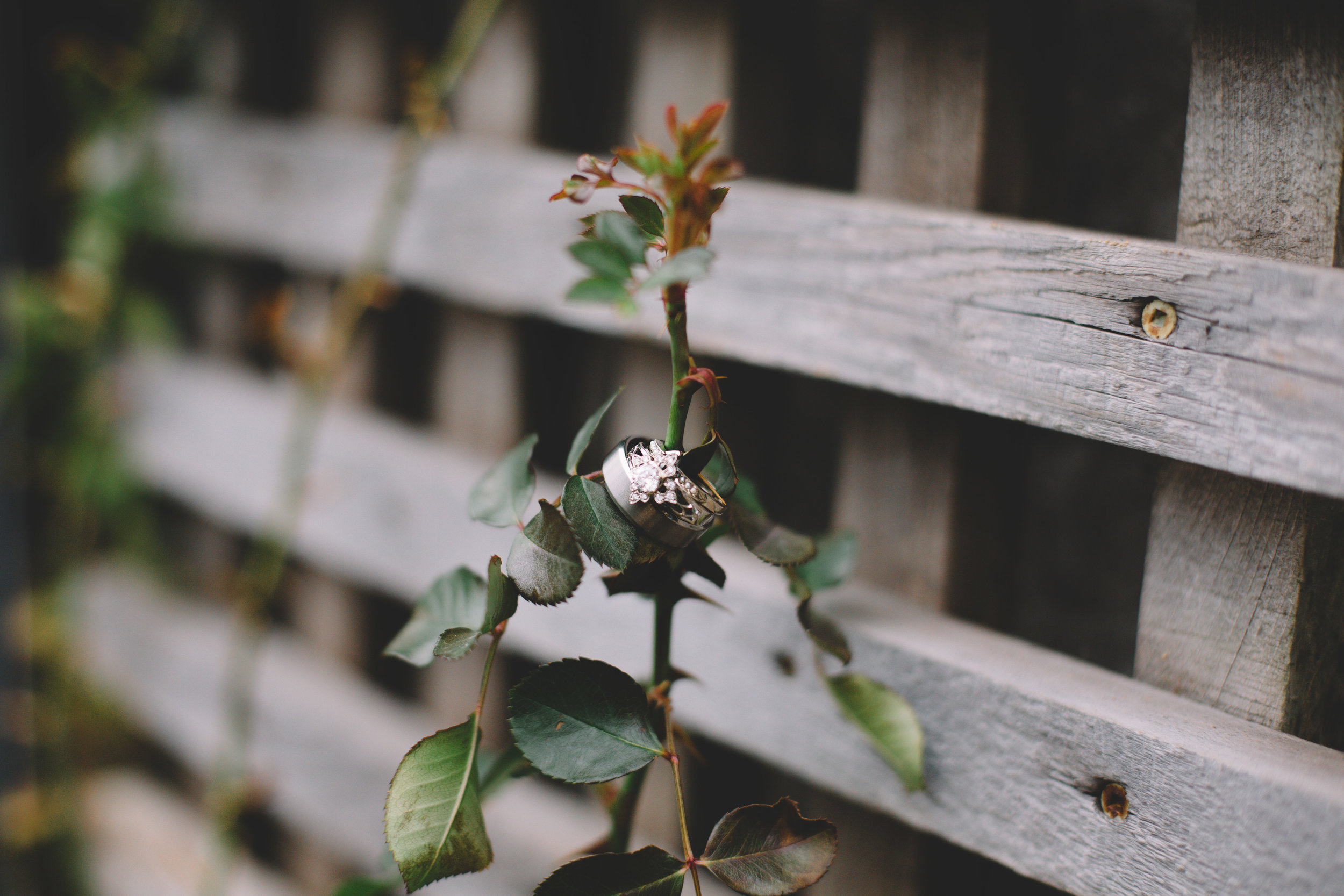 Jake + Brittney Balbas Airbnb Carriage House Wedding Evansville IN (20 of 426).jpg