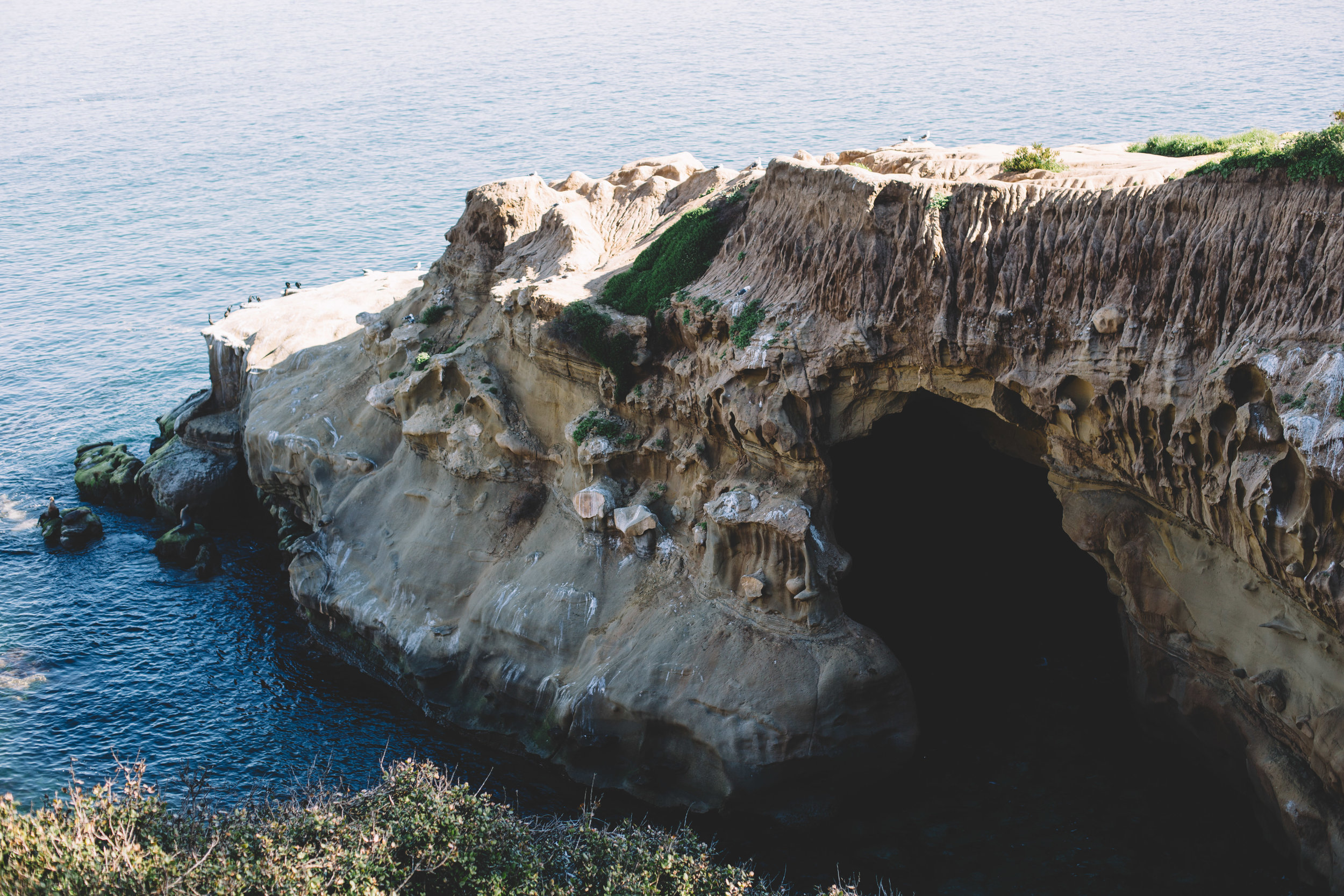 La Jolla Cove (1 of 46).jpg