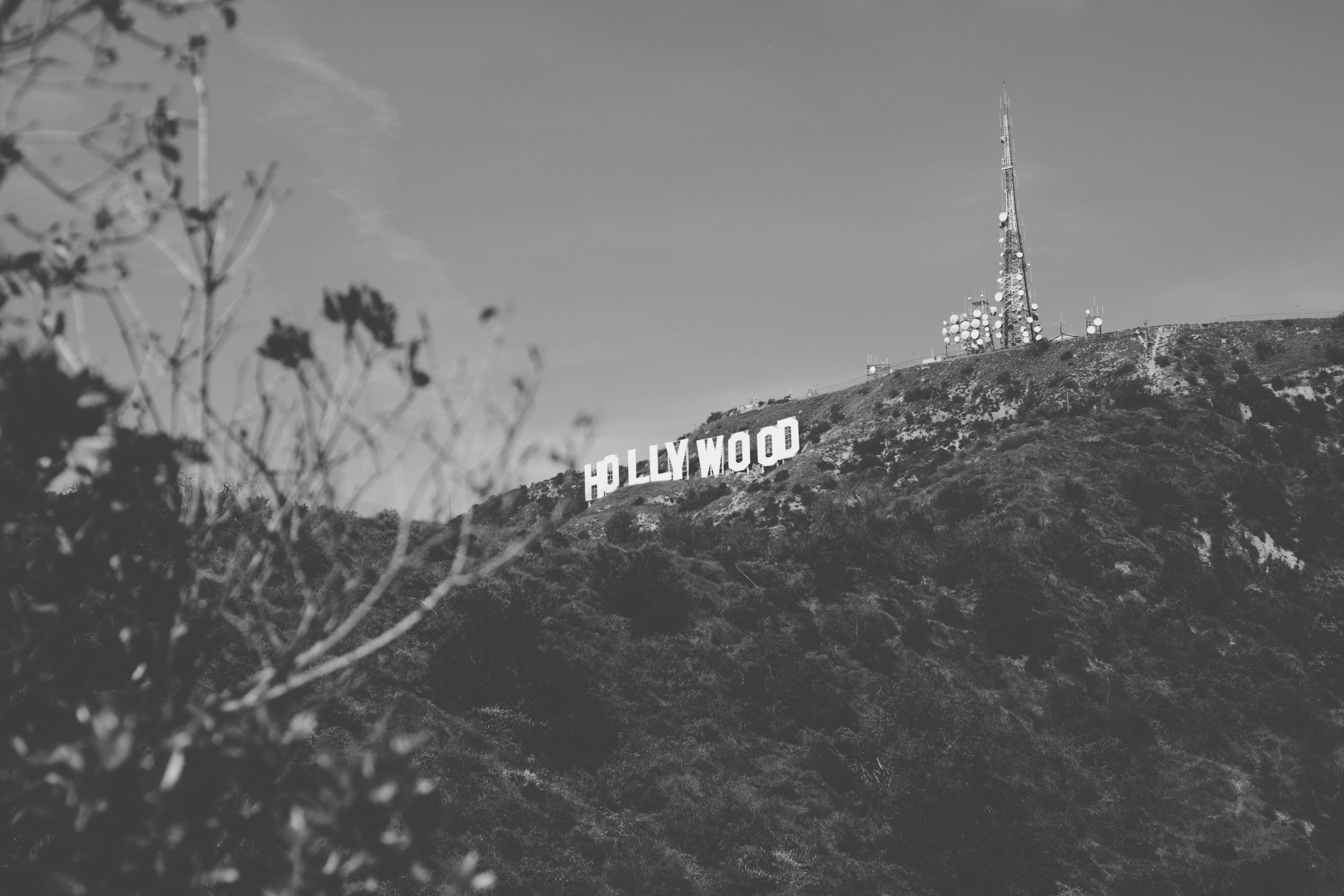 Hollywood Sign (1 of 1).jpg