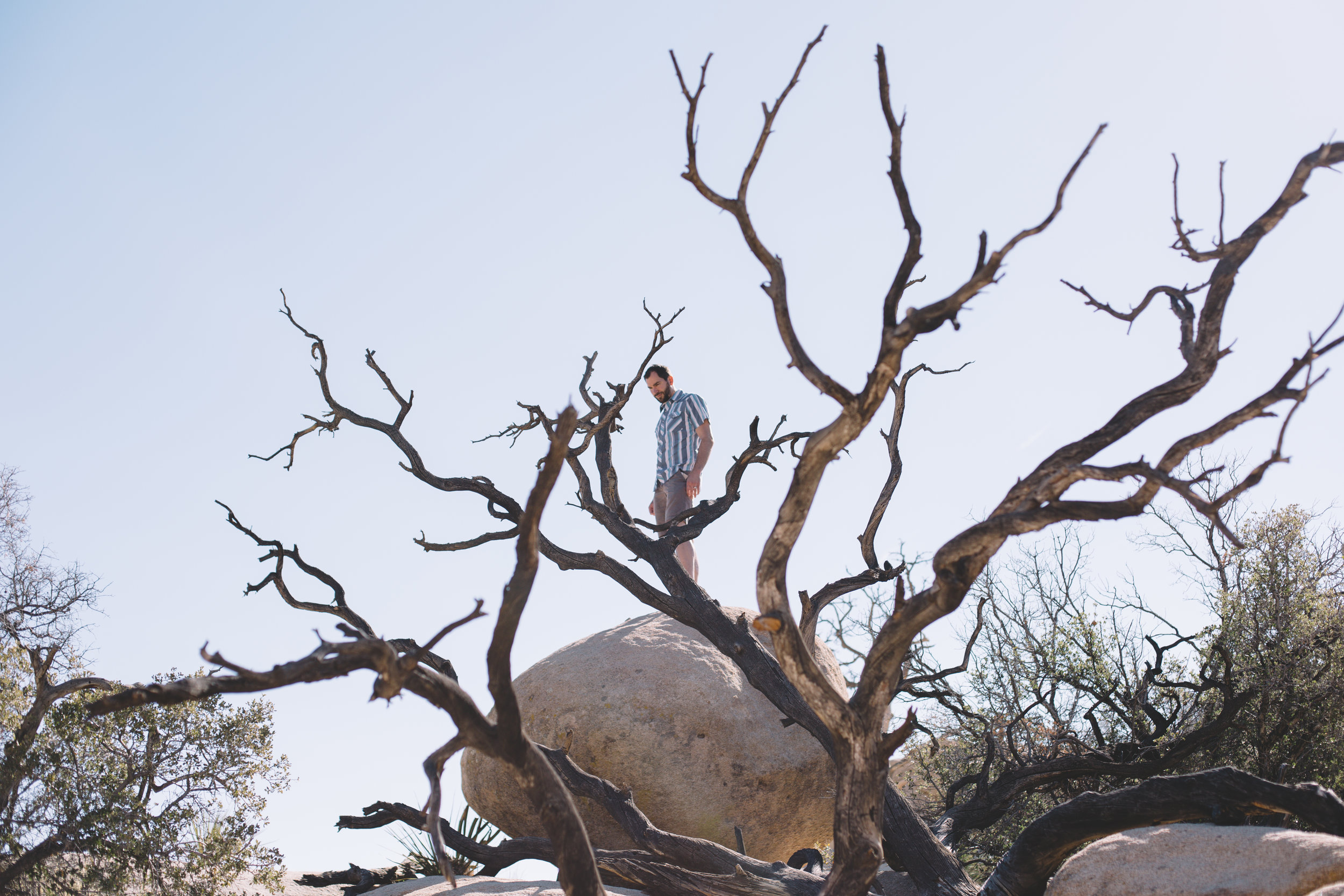 Joshua Tree National park Hike (11 of 19).jpg