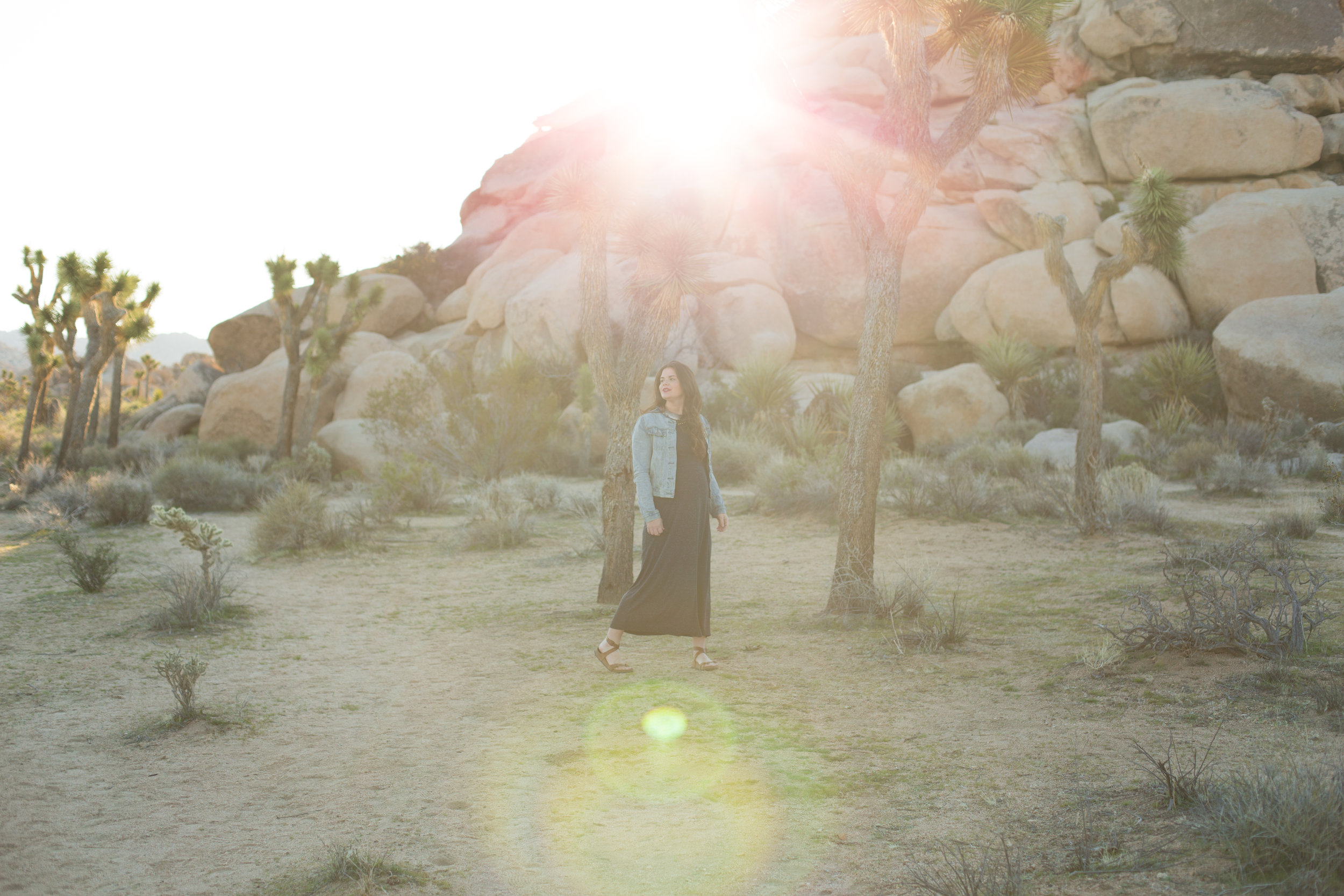 Joshua Tree National park  (28 of 86).jpg