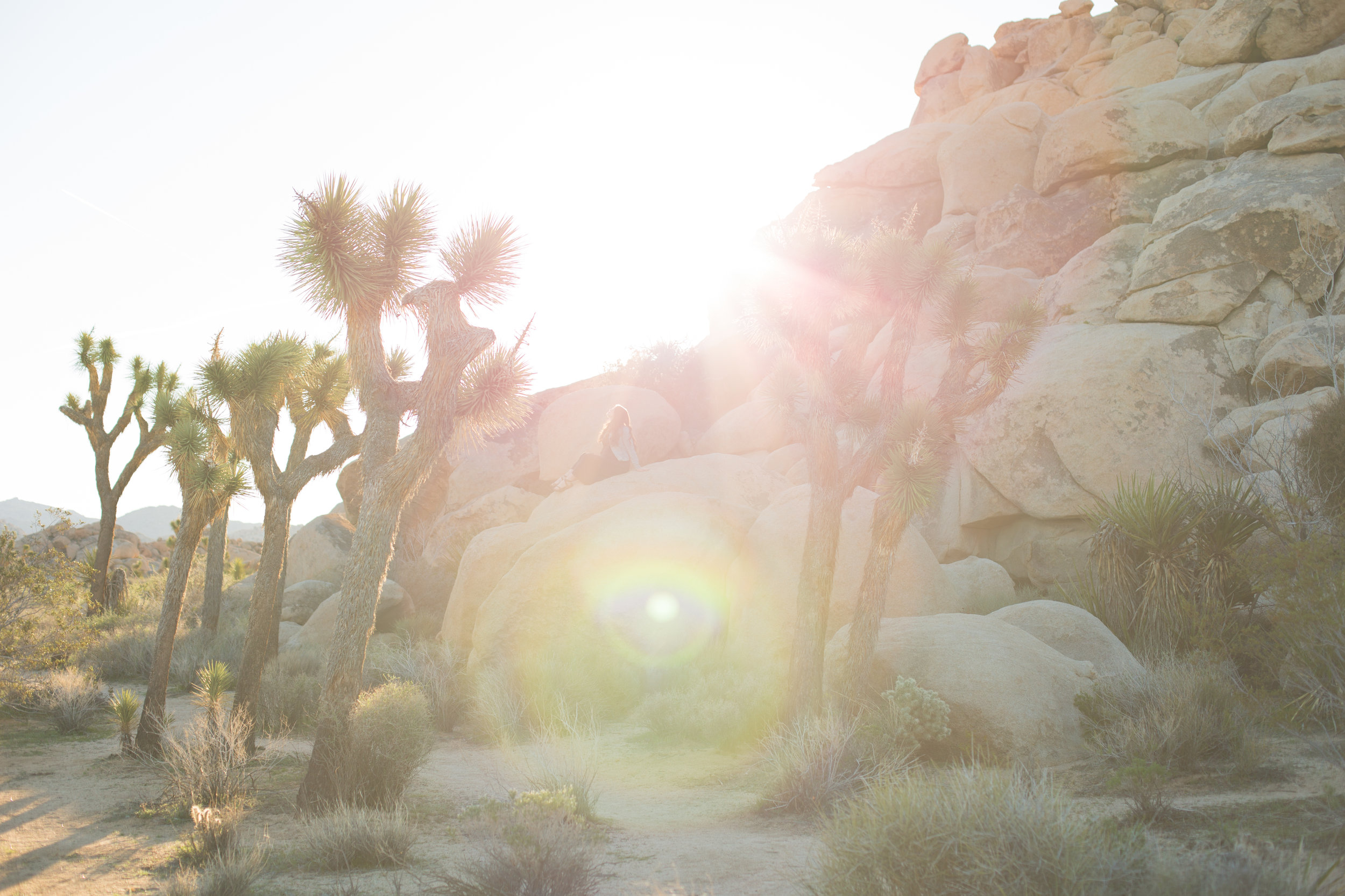 Joshua Tree National park  (36 of 86).jpg