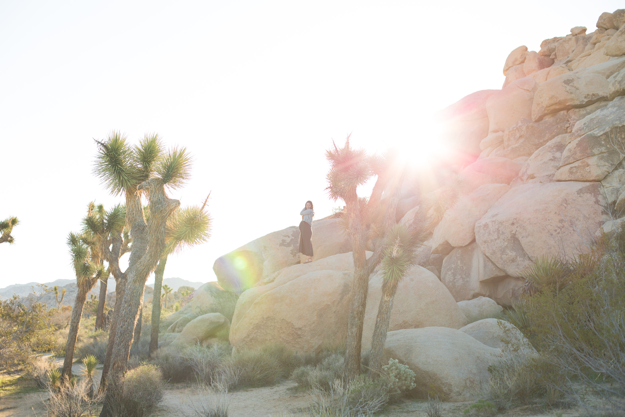 Joshua Tree National park  (46 of 86).jpg