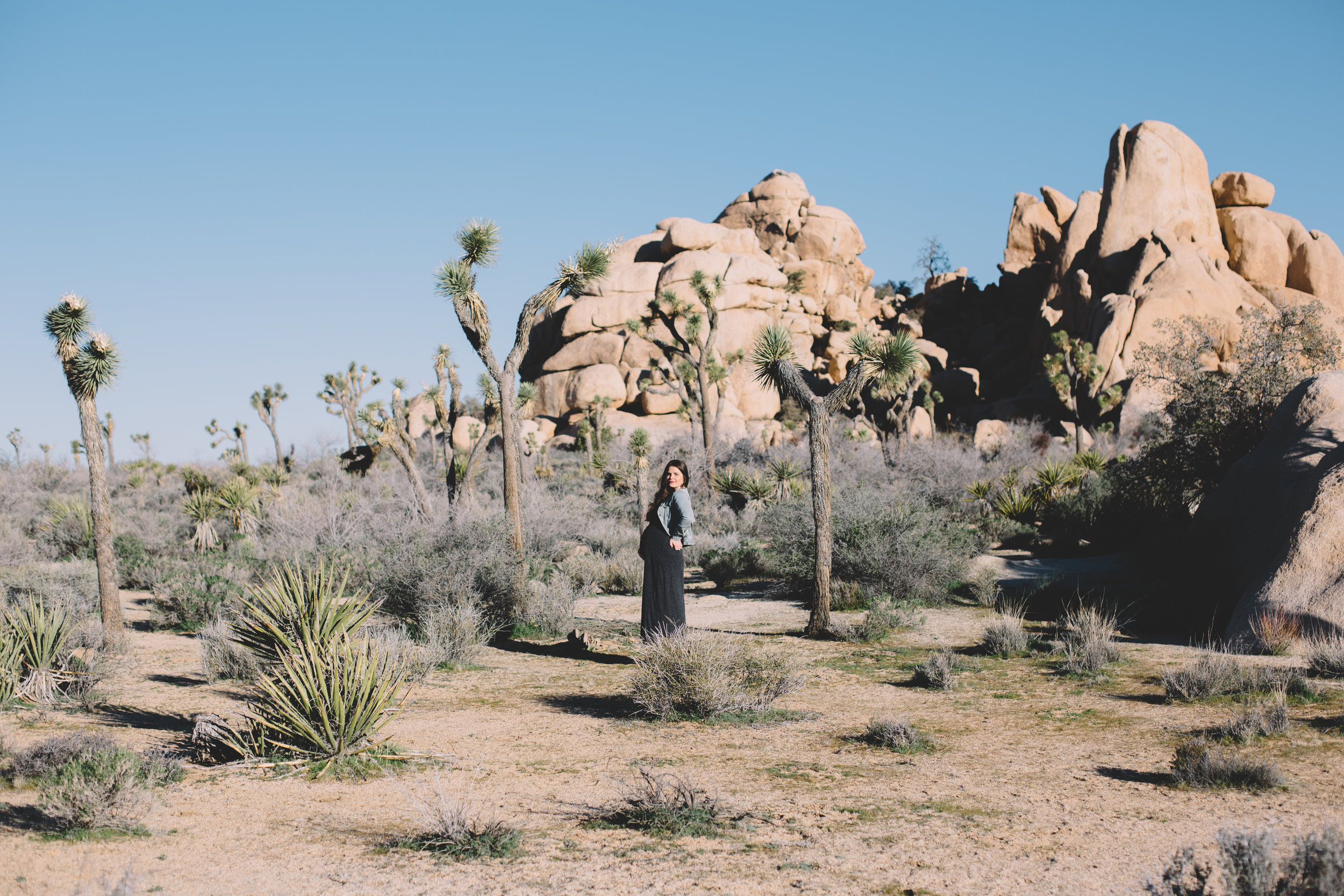 Joshua Tree National park  (81 of 86).jpg