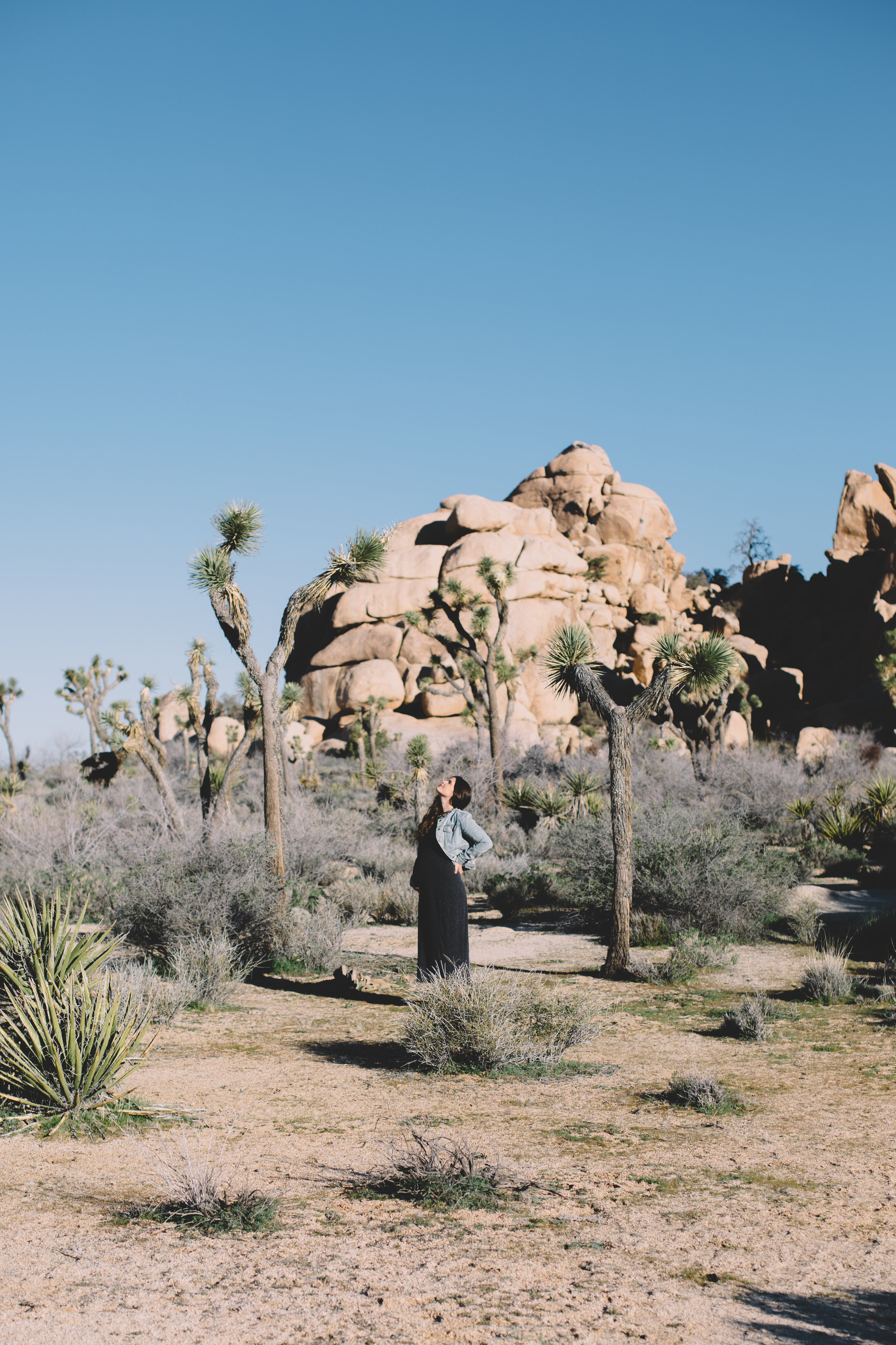 Joshua Tree National park  (82 of 86).jpg