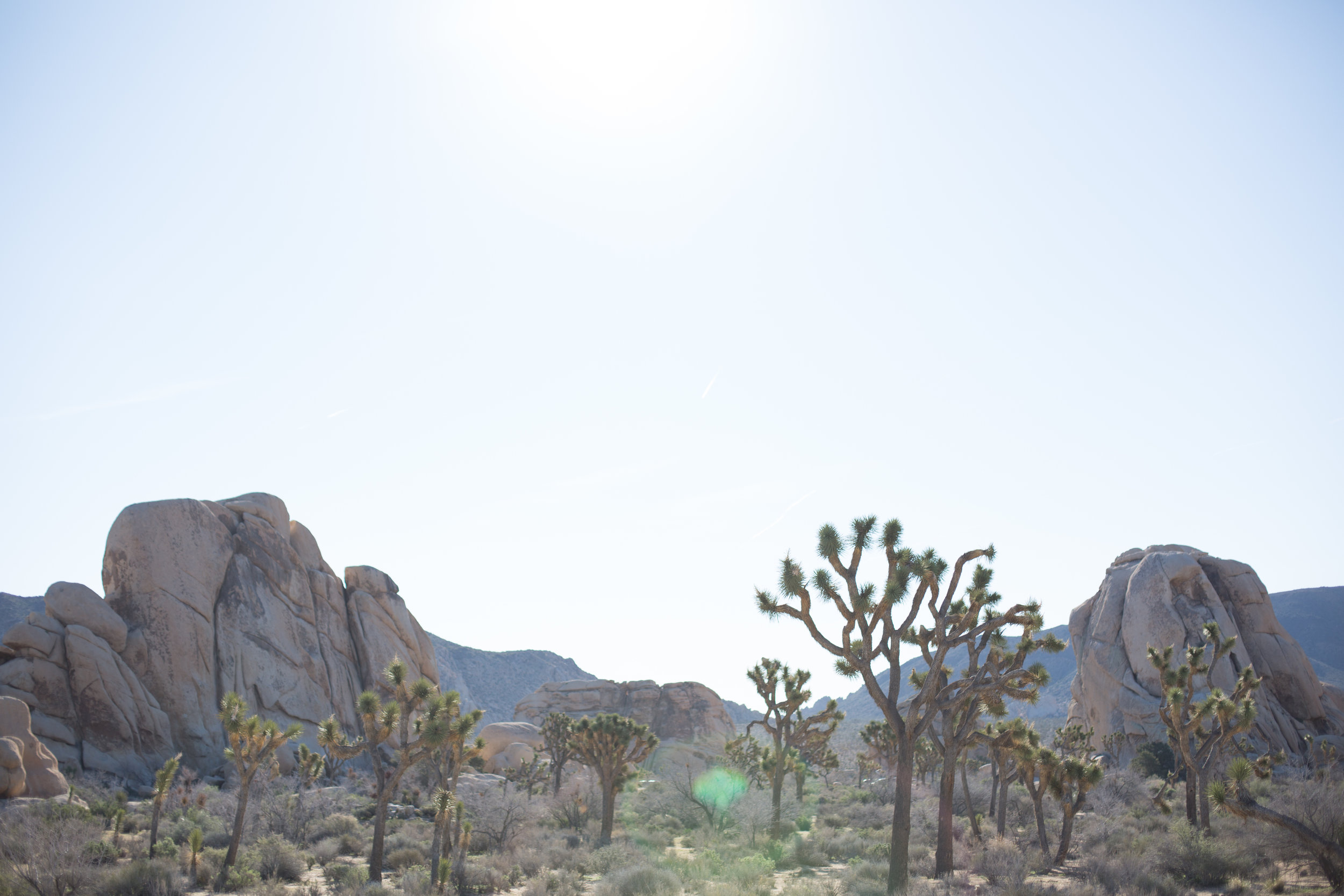 Joshua Tree National park Hike (3 of 19).jpg