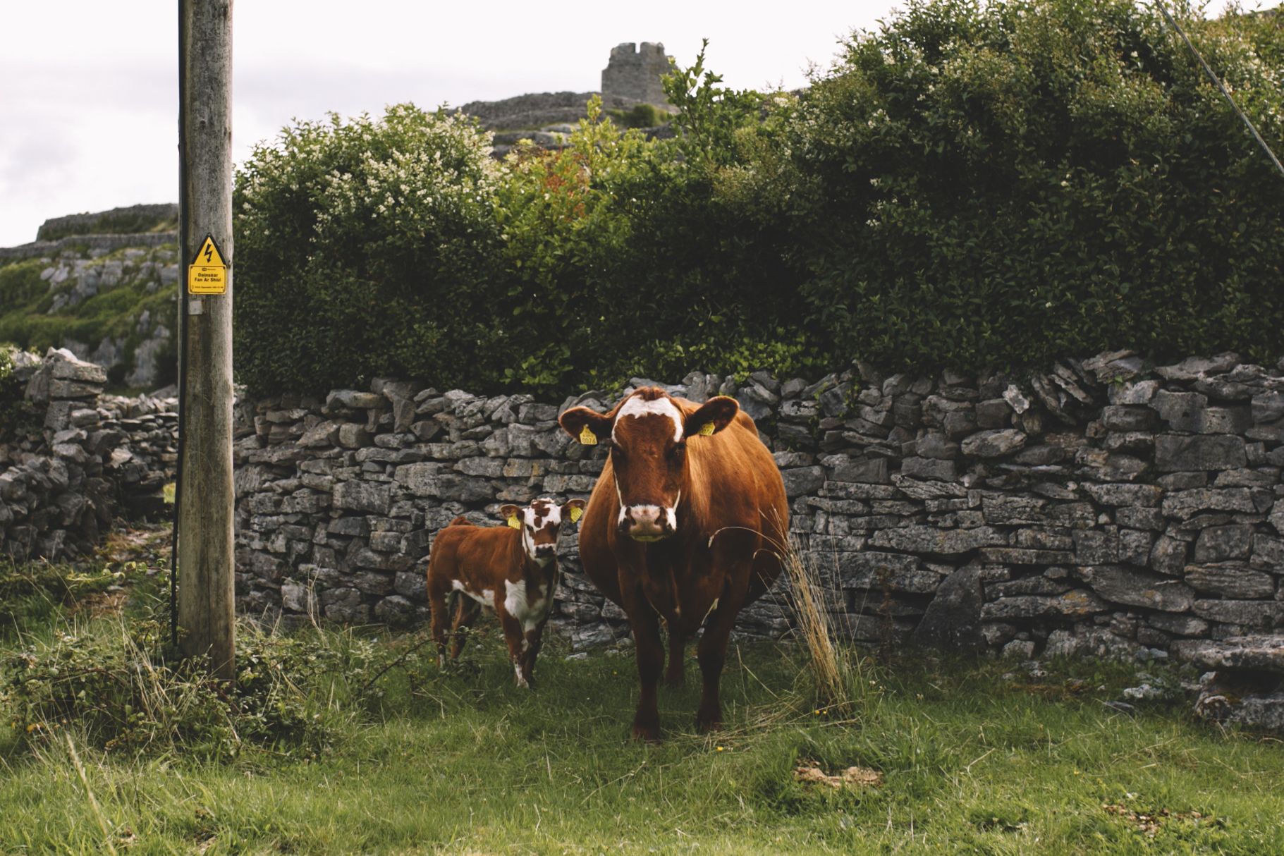 10 Tear Anniversary Trip - Aran Island Inis Mor Inis Orr Ireland  (43 of 73).jpg