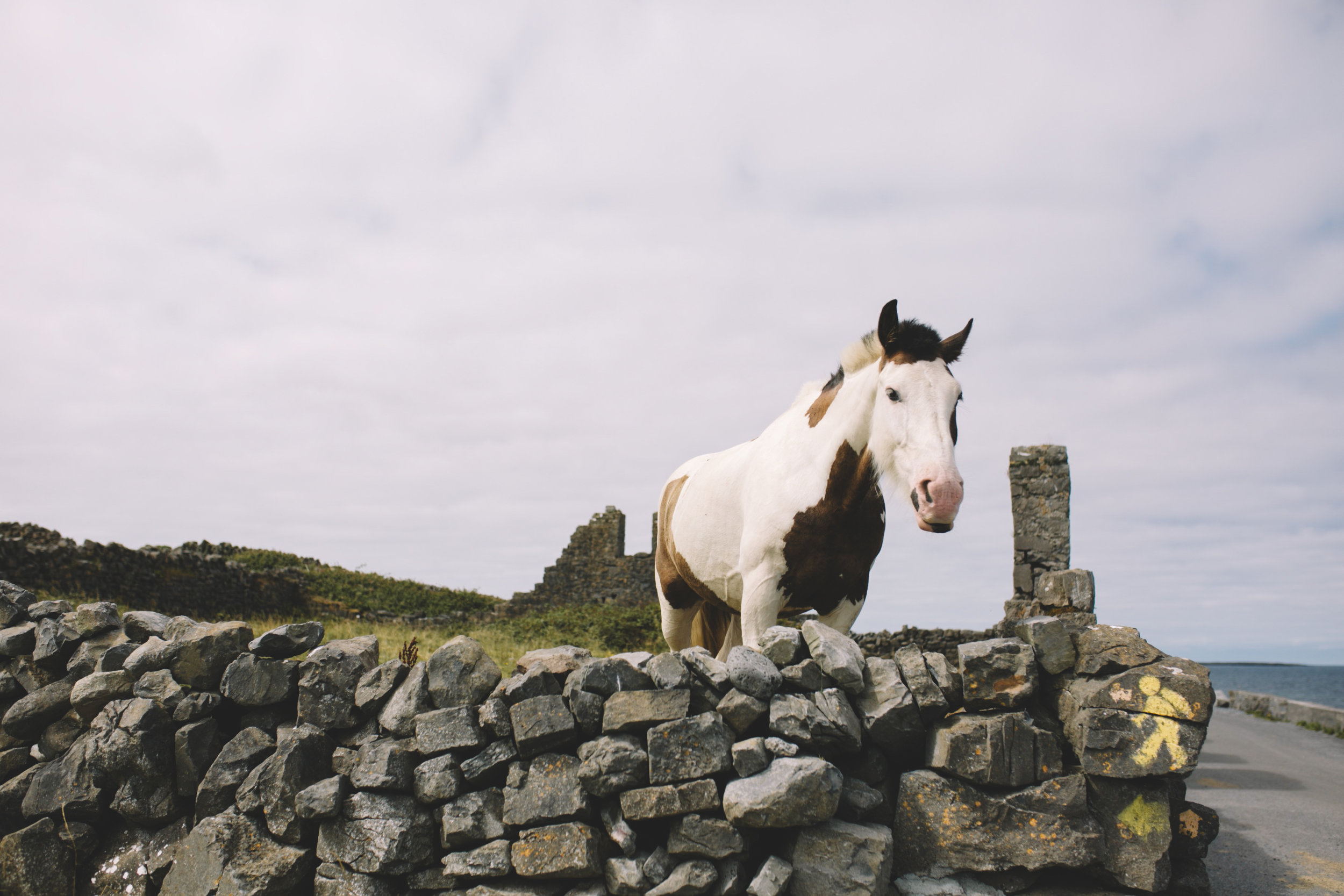 10 Tear Anniversary Trip - Aran Island Inis Mor Inis Orr Ireland  (50 of 73).jpg