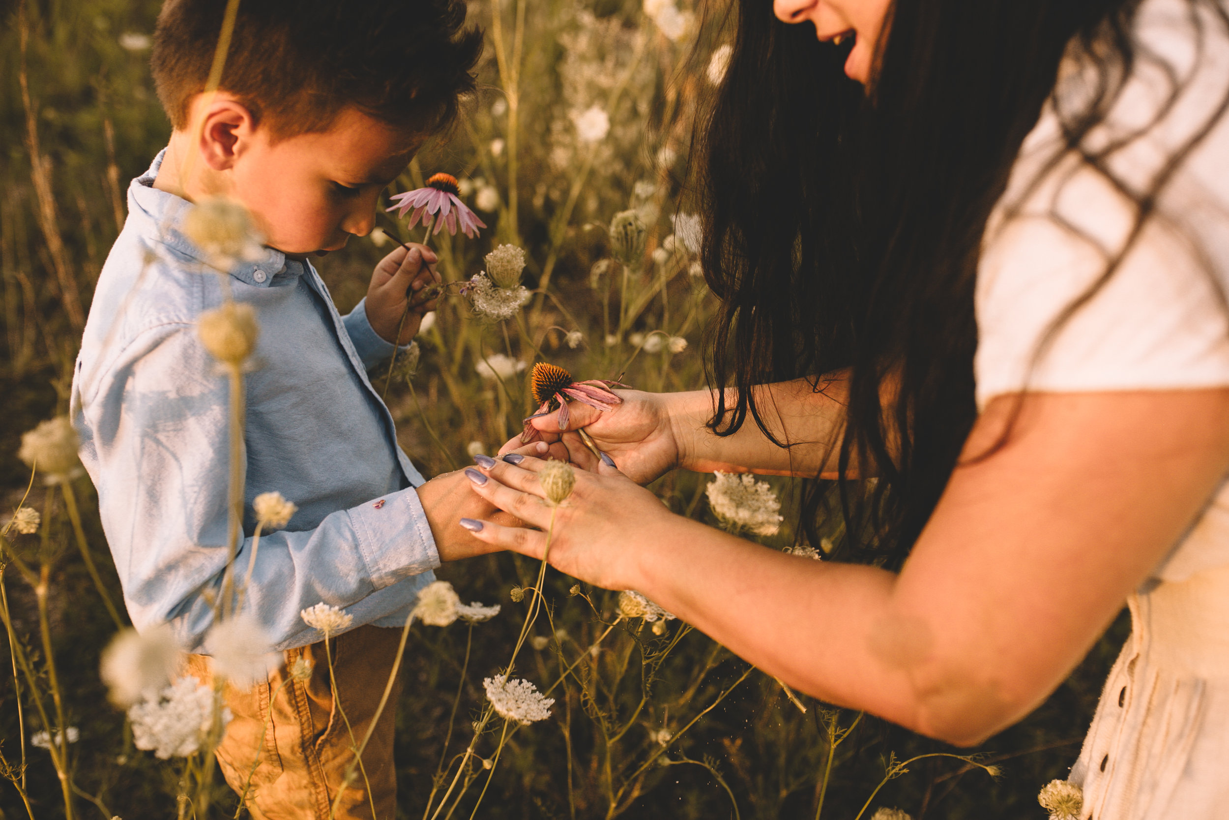 Golden Flower Field Mini Session Indianapolis IN (51 of 58).jpg