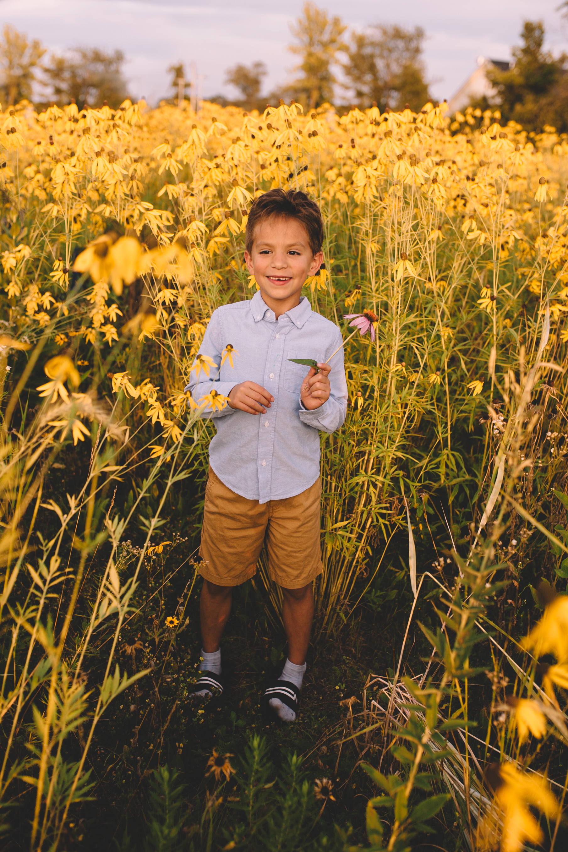 Golden Flower Field Mini Session Indianapolis IN (49 of 58).jpg