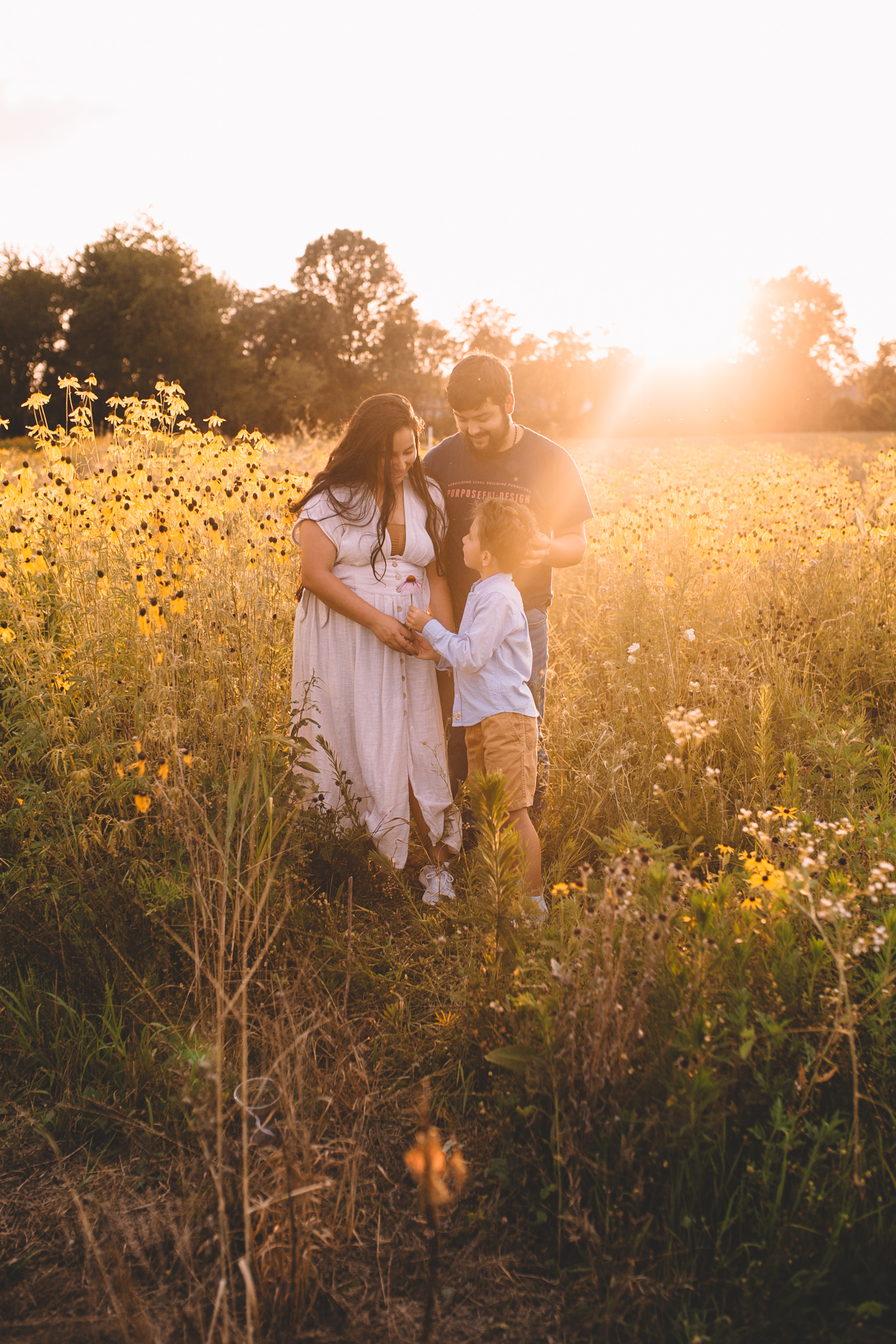 Golden Flower Field Mini Session Indianapolis IN (46 of 58).jpg