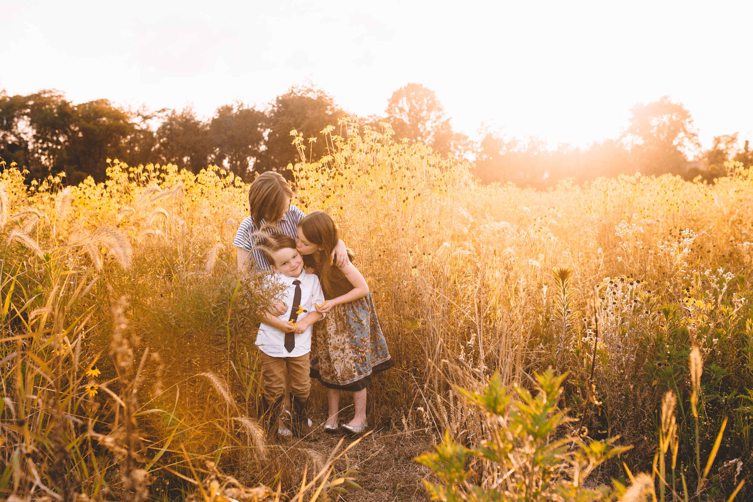 Golden Flower Field Mini Session Indianapolis IN (36 of 58).jpg