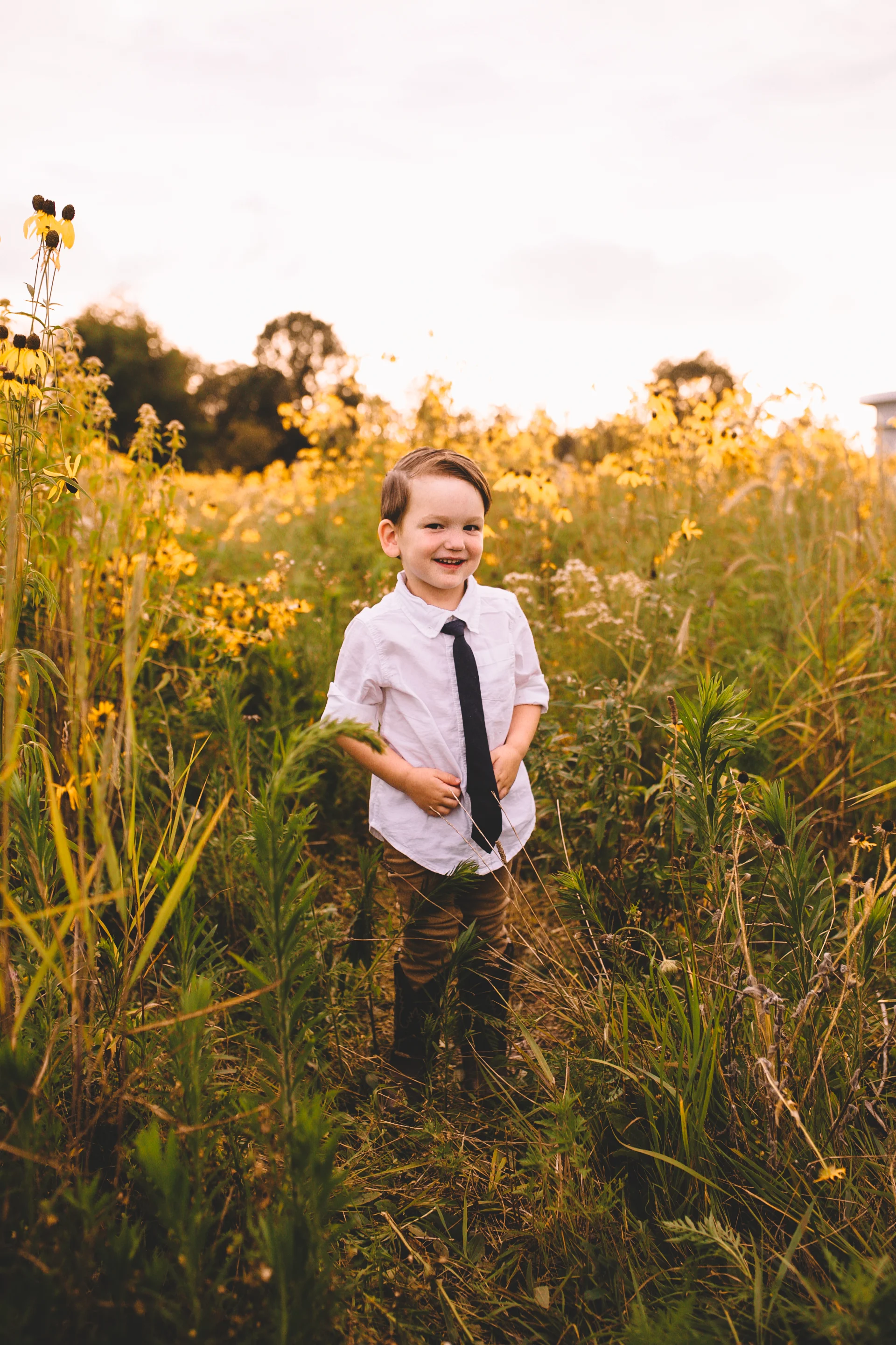 Golden Flower Field Mini Session Indianapolis IN (30 of 58).jpg