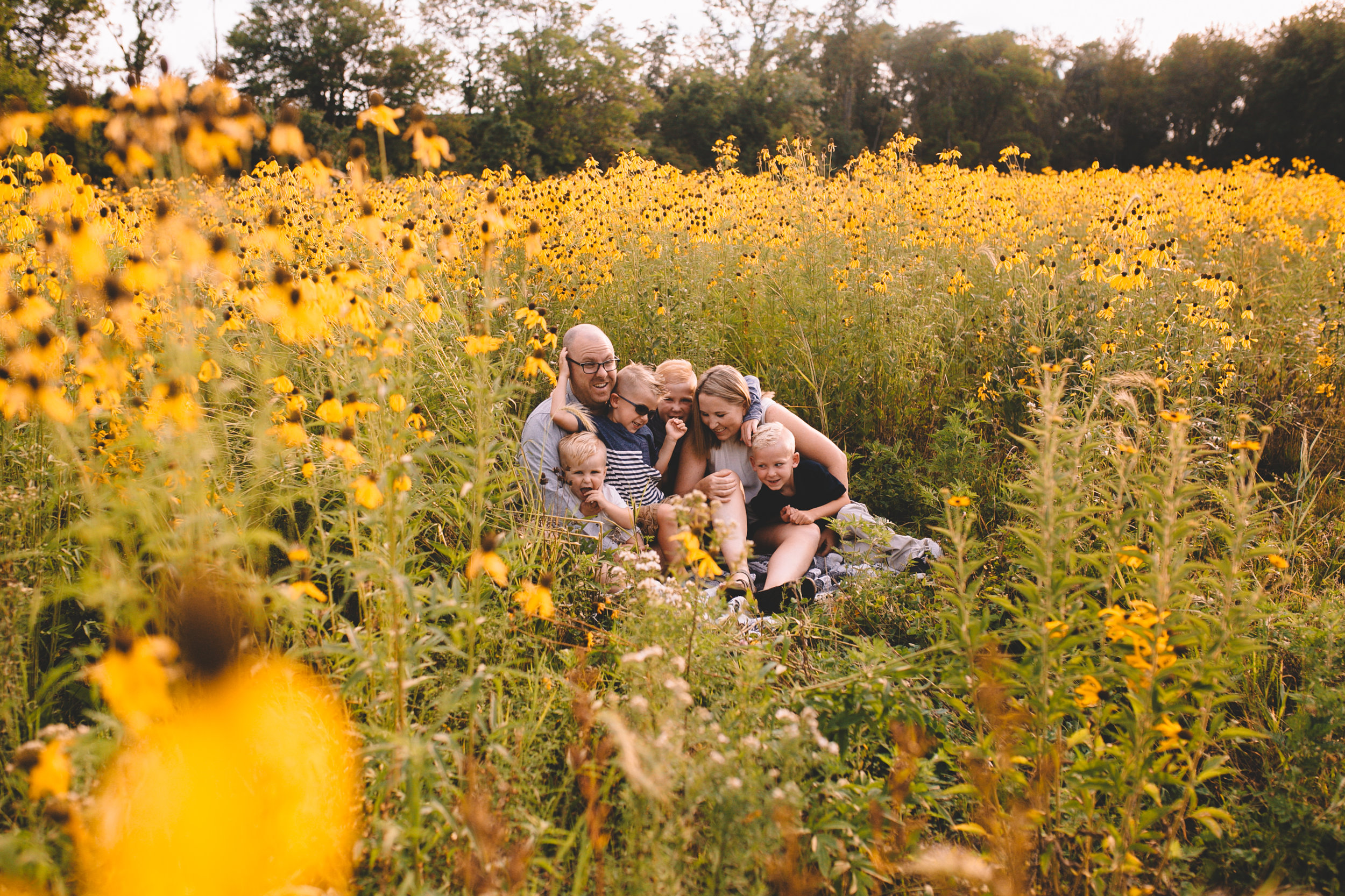 Golden Flower Field Mini Session Indianapolis IN (1 of 58).jpg