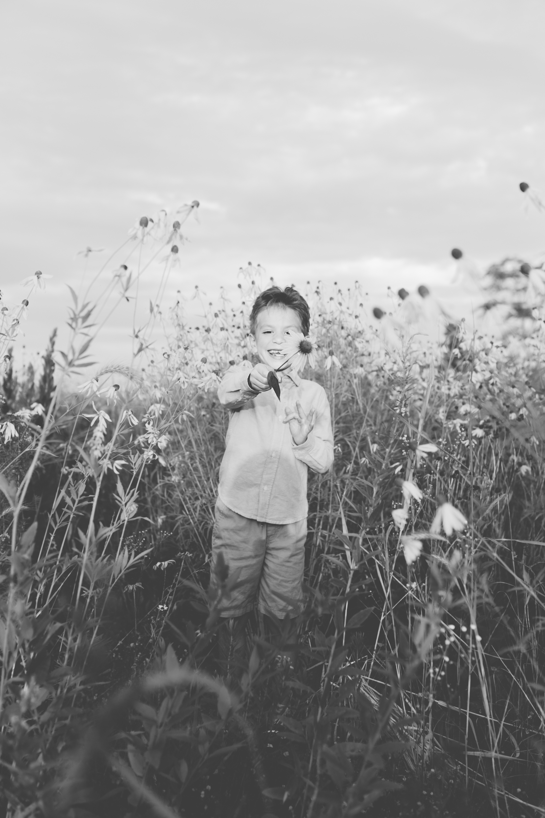 Golden Flower Field Mini Session Indianapolis IN (50 of 58).jpg