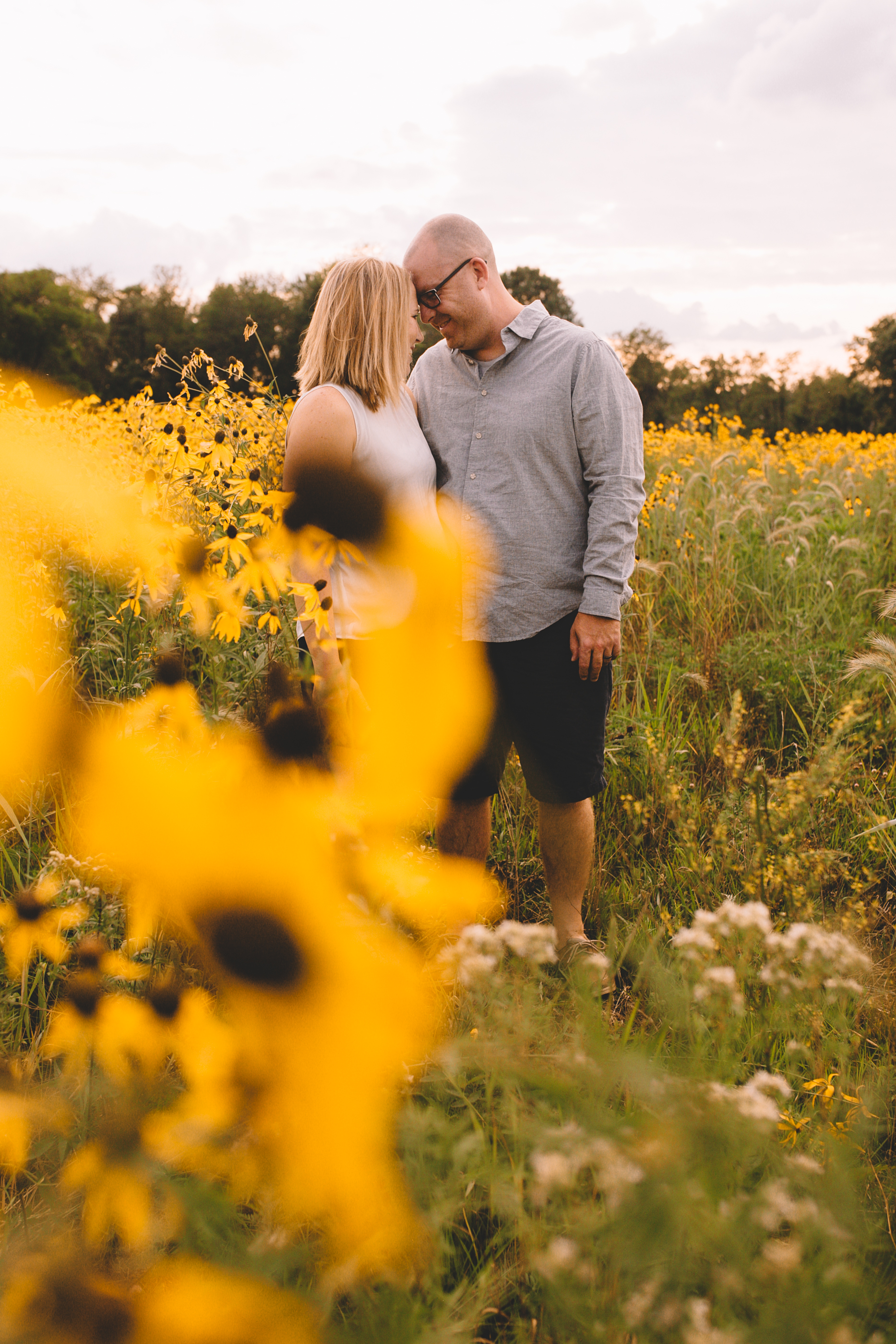 Golden Flower Field Mini Session Indianapolis IN (10 of 58).jpg