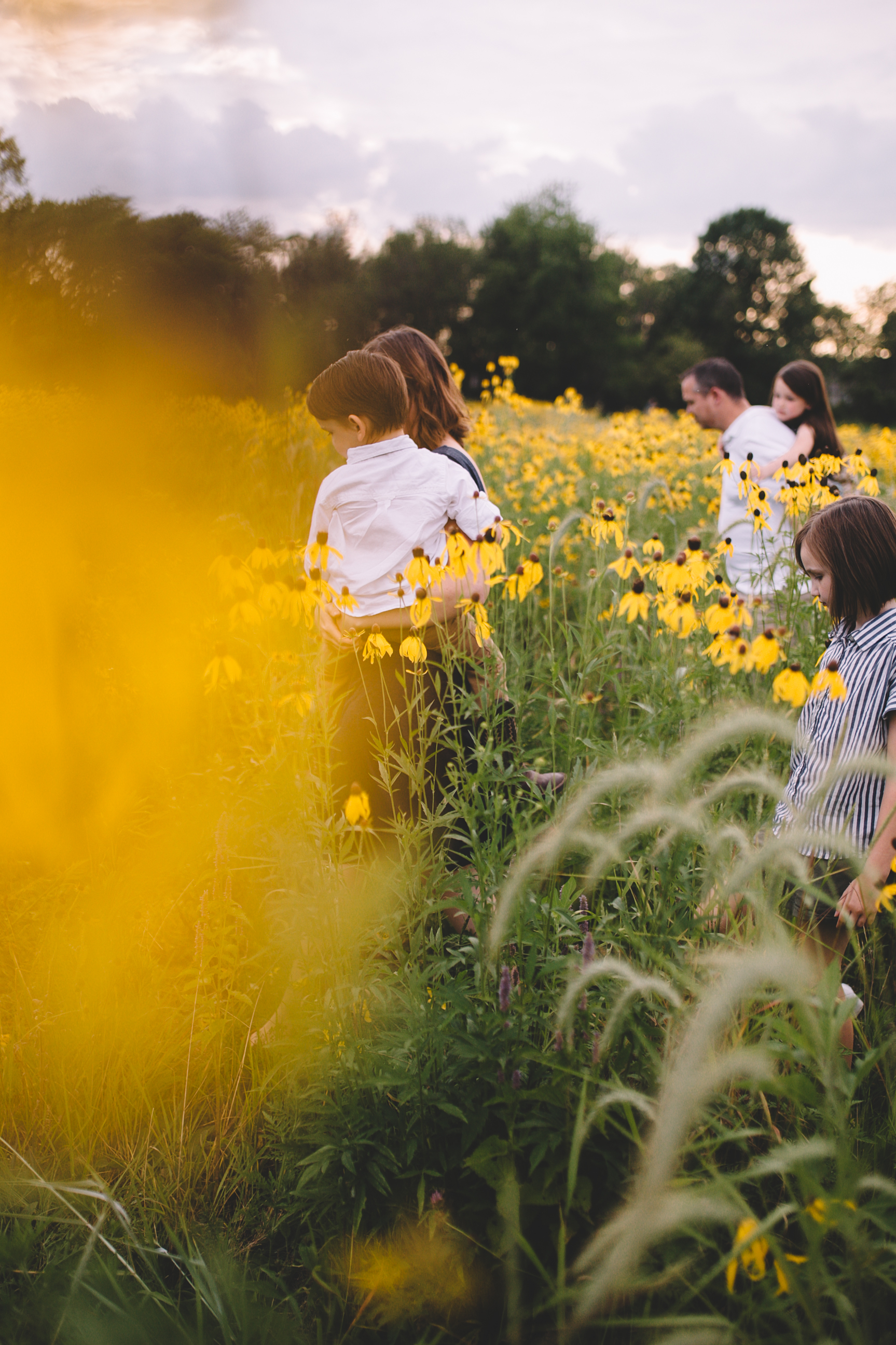 Golden Flower Field Mini Session Indianapolis IN (20 of 58).jpg