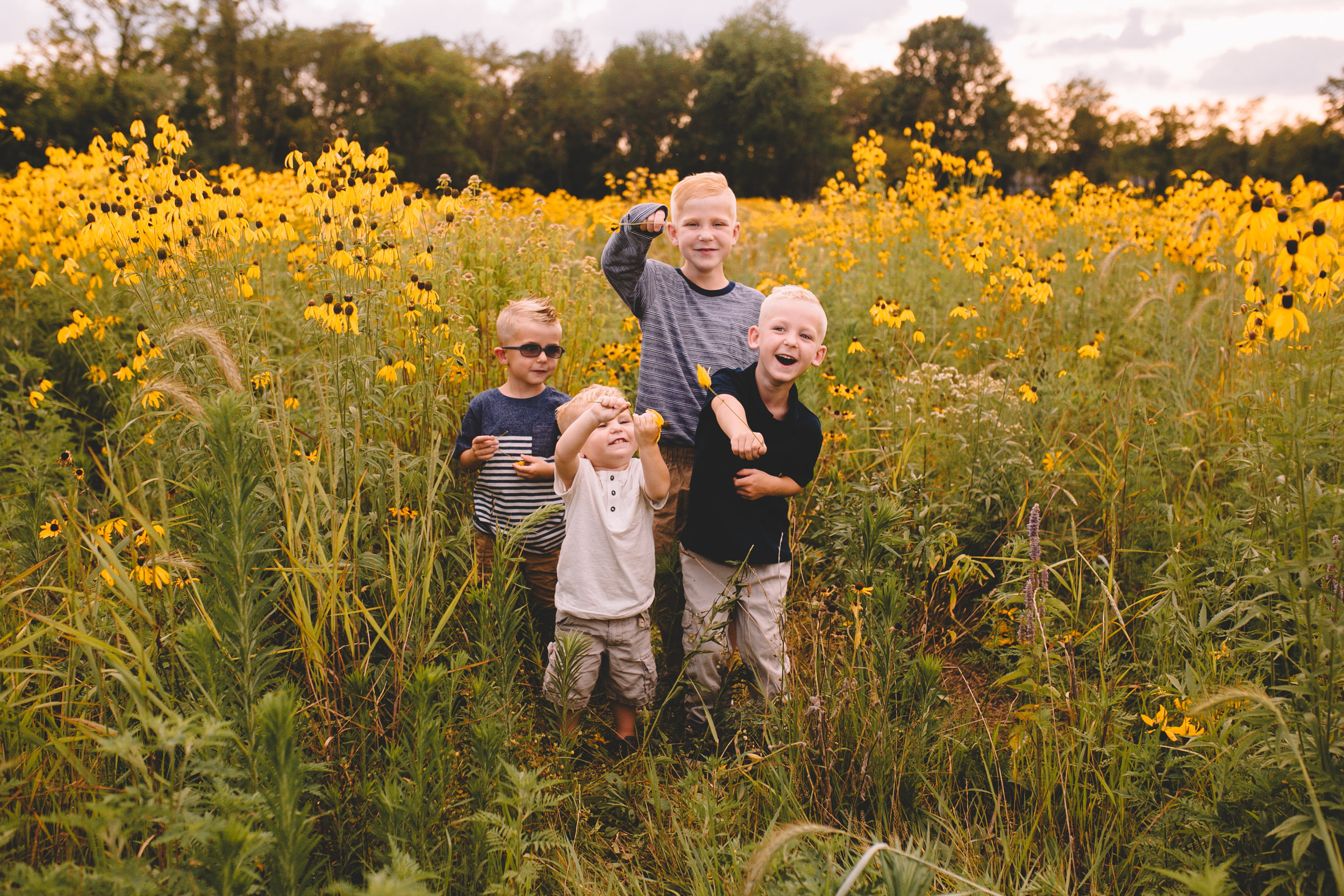 Golden Flower Field Mini Session Indianapolis IN (15 of 58).jpg
