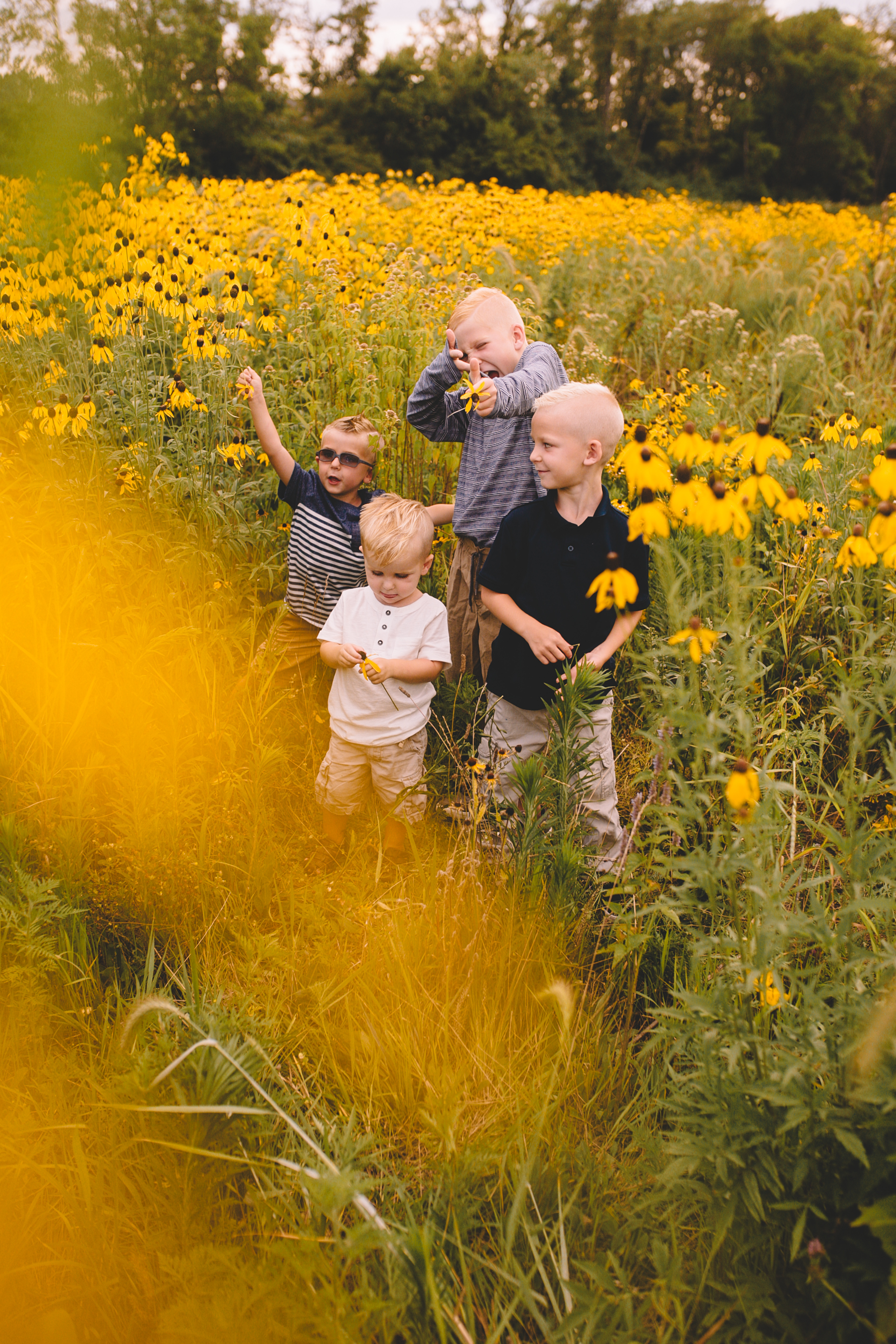 Golden Flower Field Mini Session Indianapolis IN (16 of 58).jpg