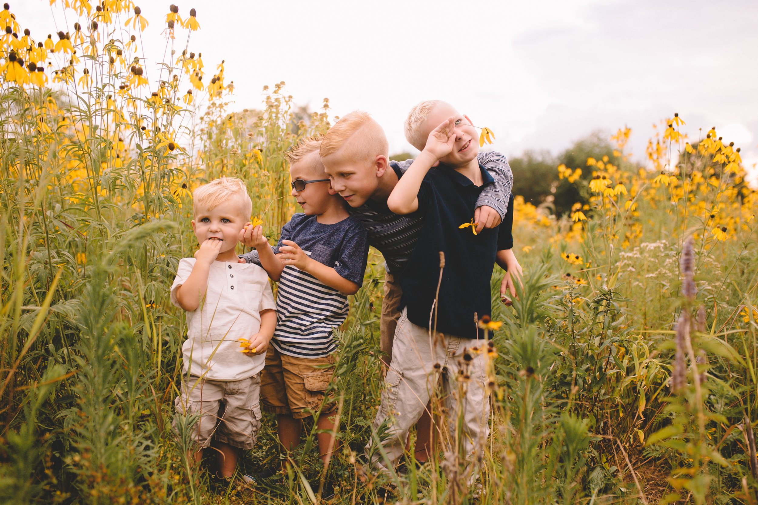 Golden Flower Field Mini Session Indianapolis IN (17 of 58).jpg