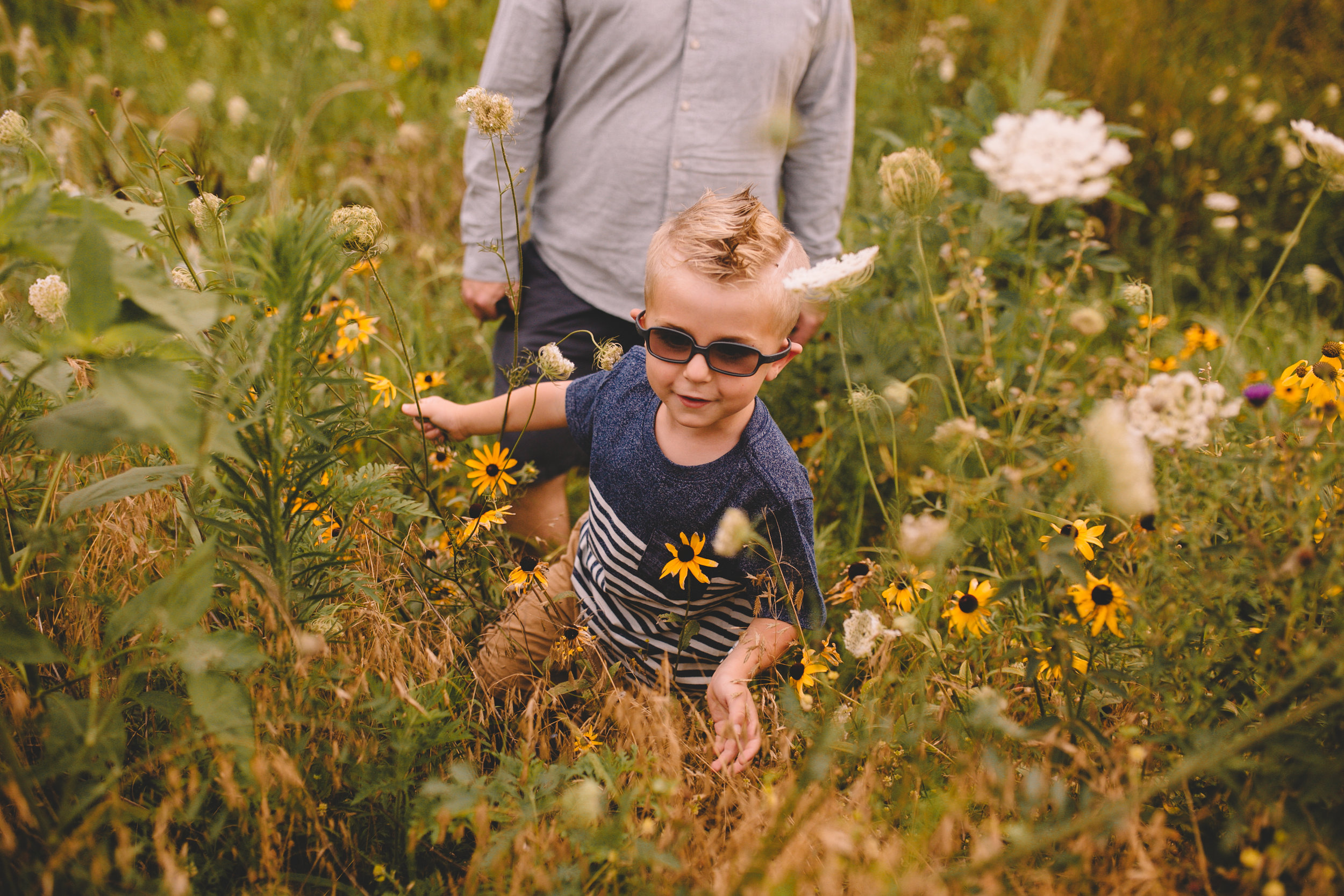 Golden Flower Field Mini Session Indianapolis IN (18 of 58).jpg