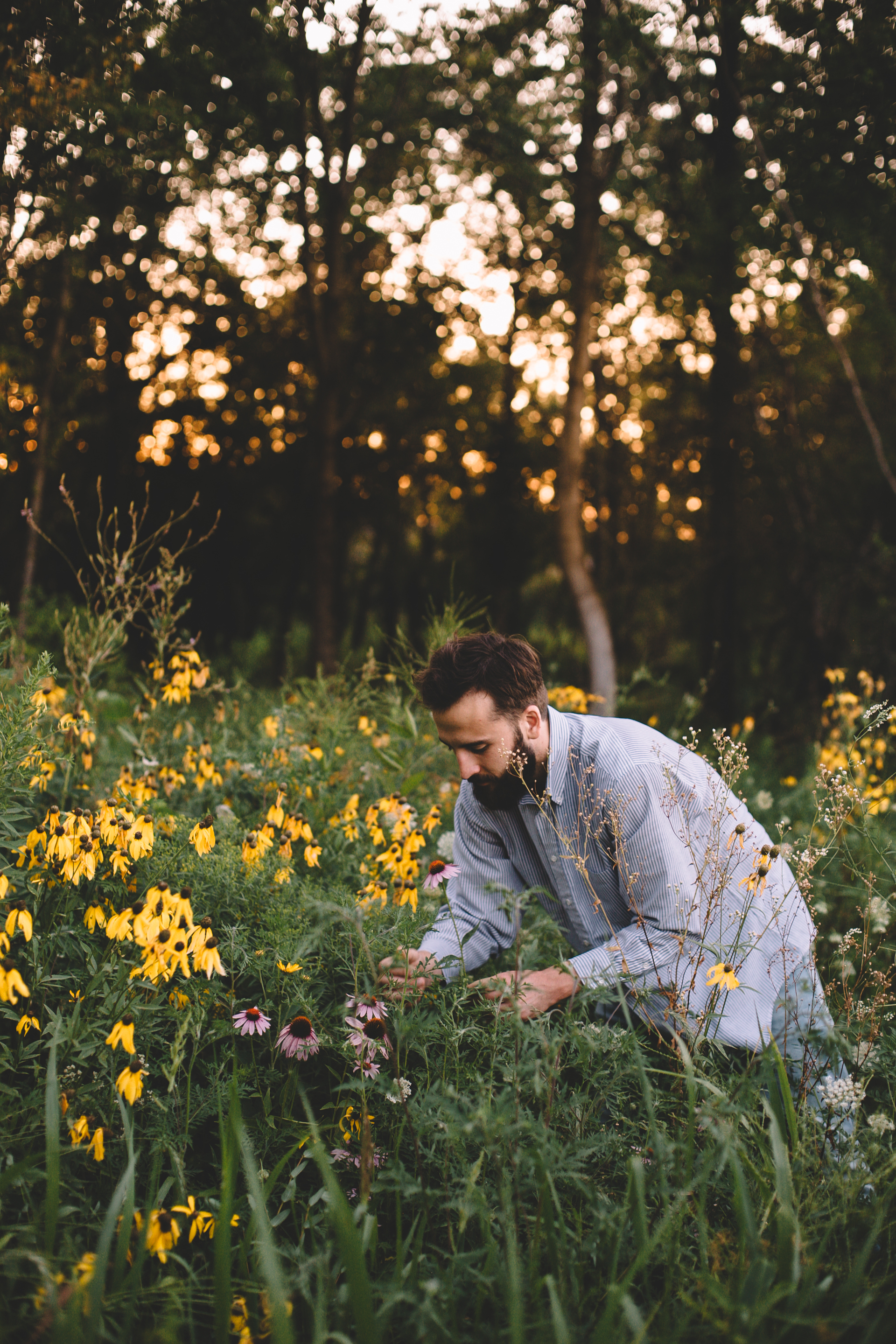 Golden Wildflower Field Engagement Photos Indianapolis, IN Again We Say Rejoice Photography  (32 of 83).jpg