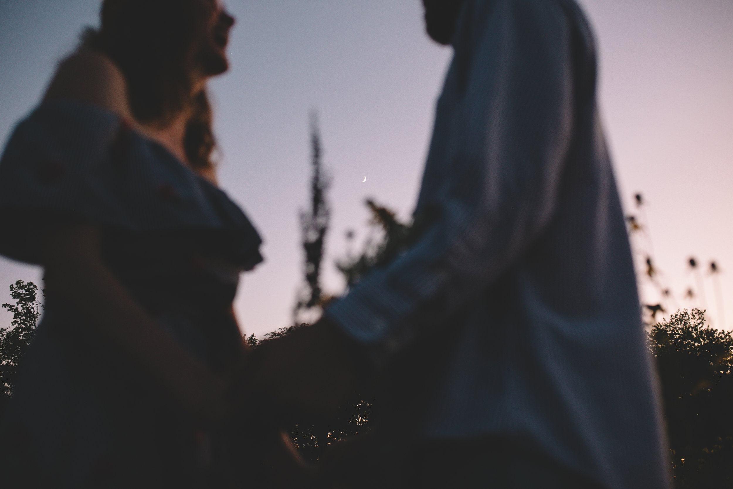 Golden Wildflower Field Engagement Photos Indianapolis, IN Again We Say Rejoice Photography  (55 of 83).jpg