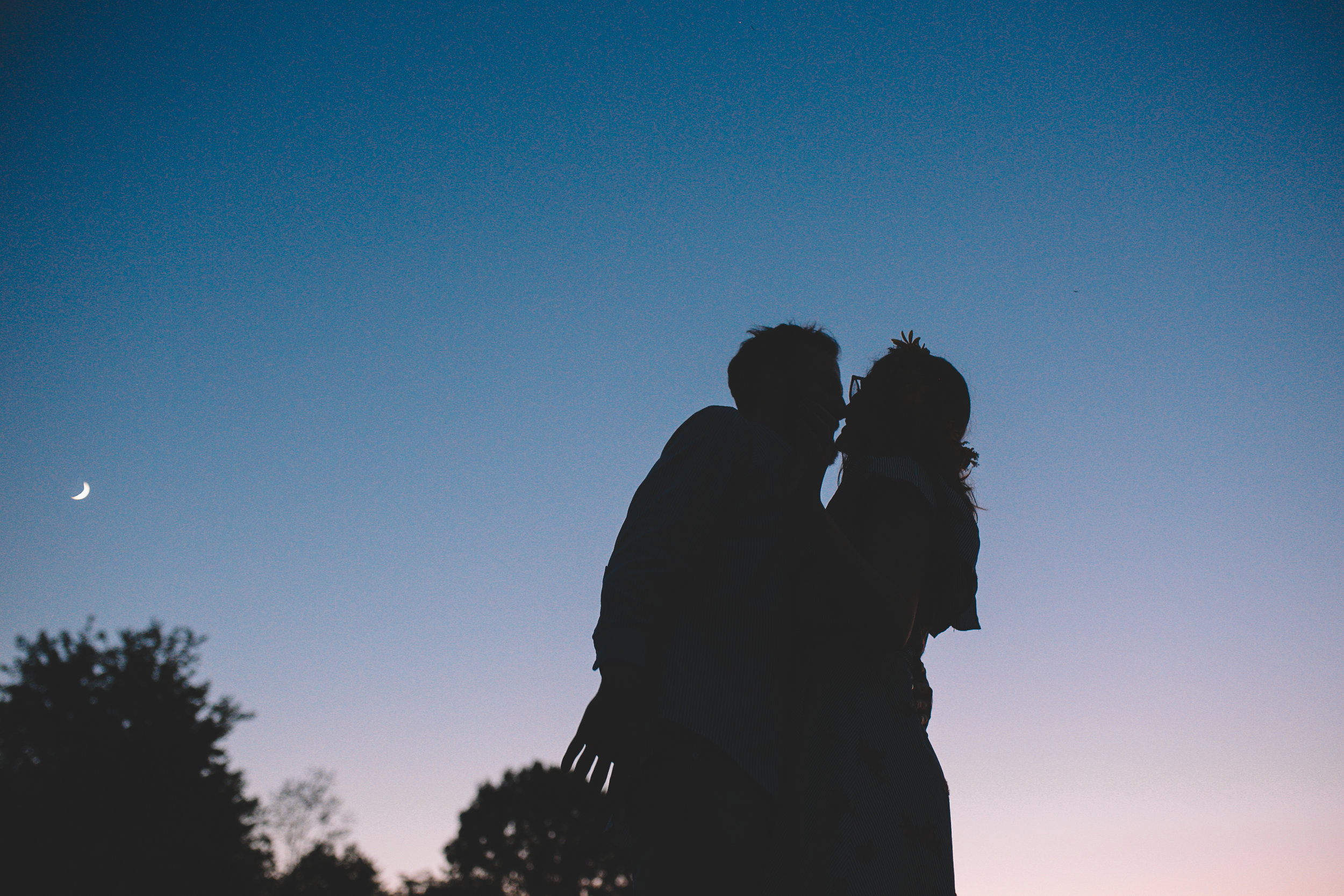 Golden Wildflower Field Engagement Photos Indianapolis, IN Again We Say Rejoice Photography  (79 of 83).jpg