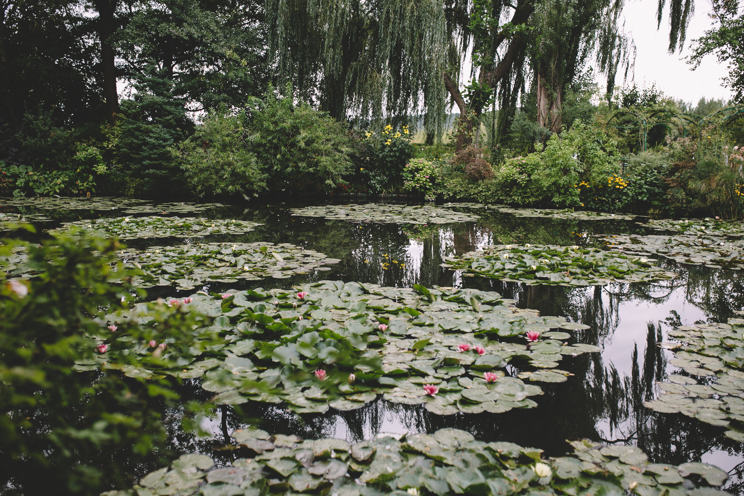 Monet's House, Garden, Waterlily Pond in Giverny (34 of 108).jpg