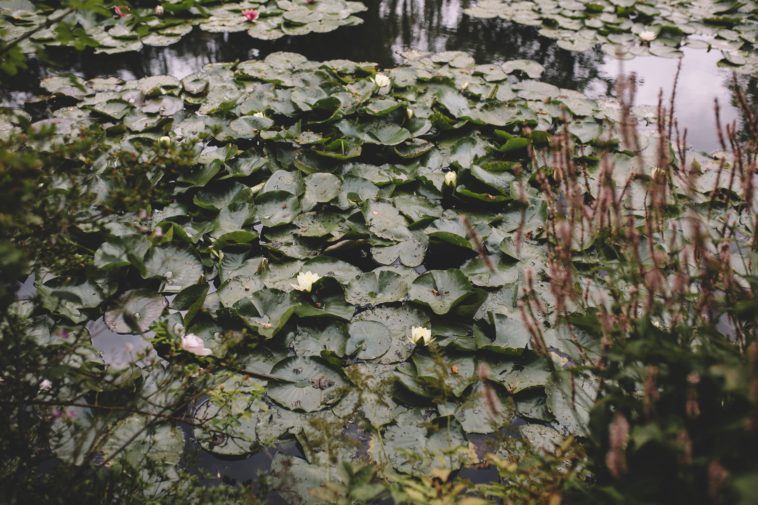 Monet's House, Garden, Waterlily Pond in Giverny (35 of 108).jpg