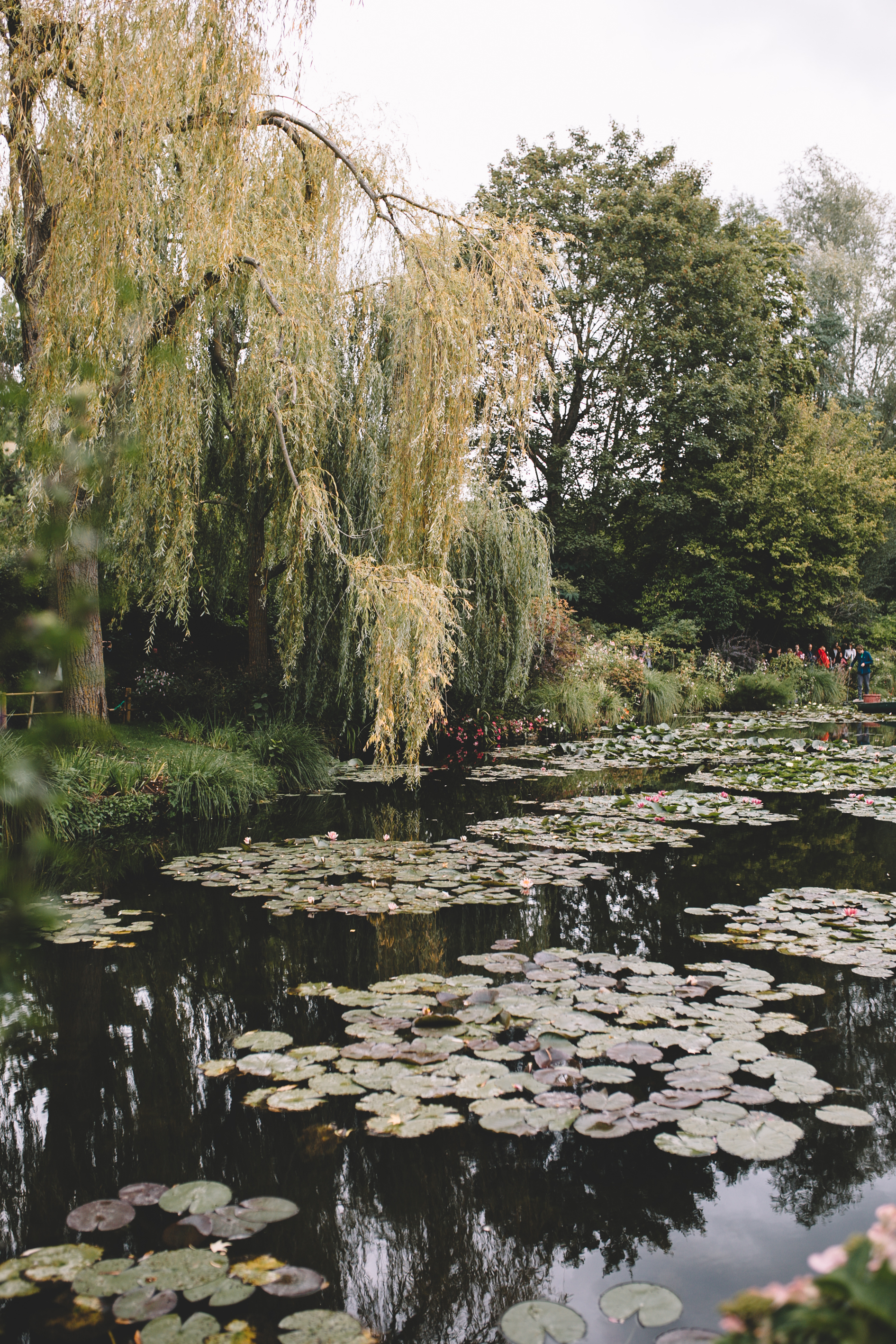 Monet's House, Garden, Waterlily Pond in Giverny (37 of 108).jpg