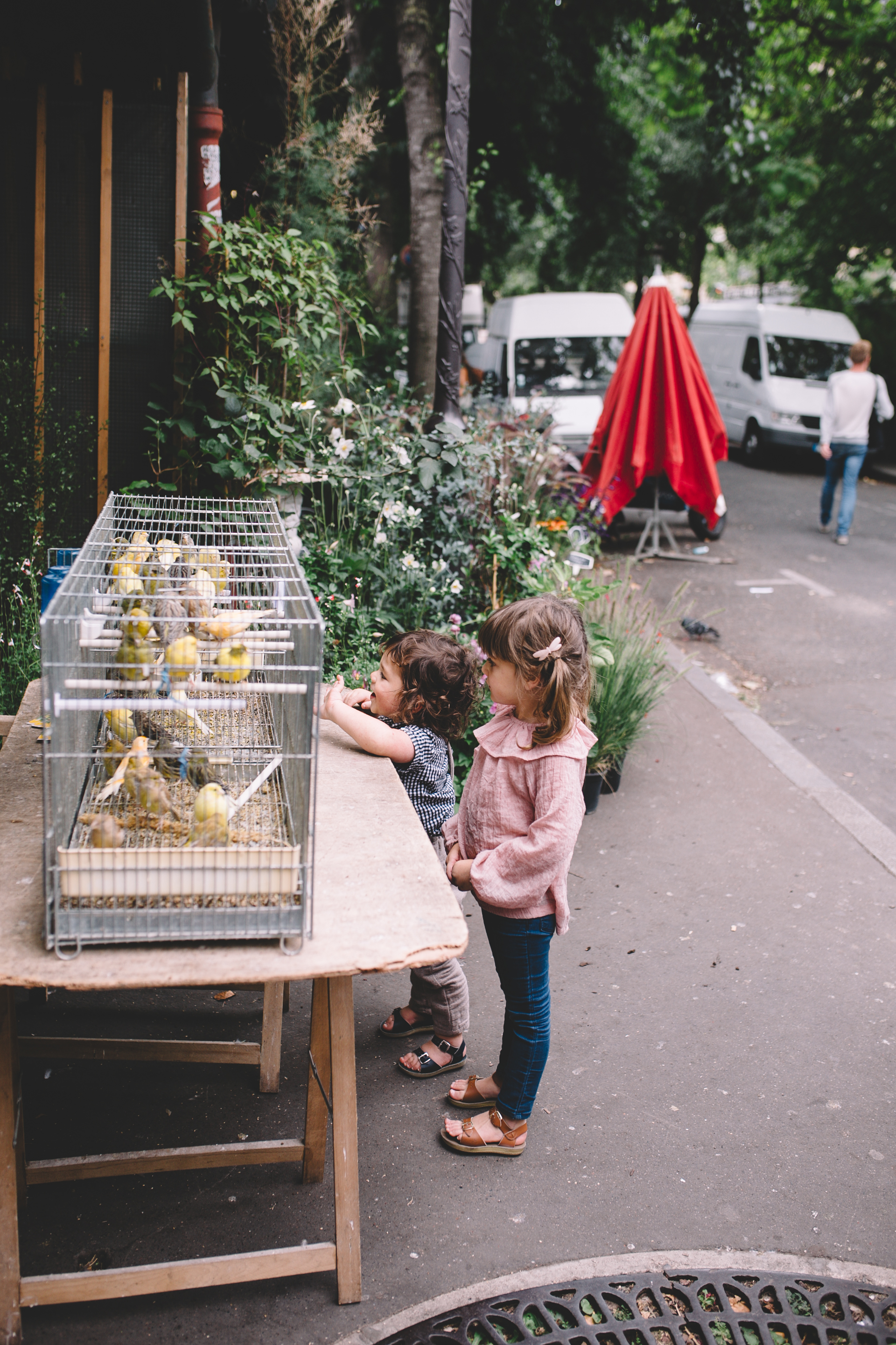 Bird Market and Streets Paris France  (5 of 10).jpg