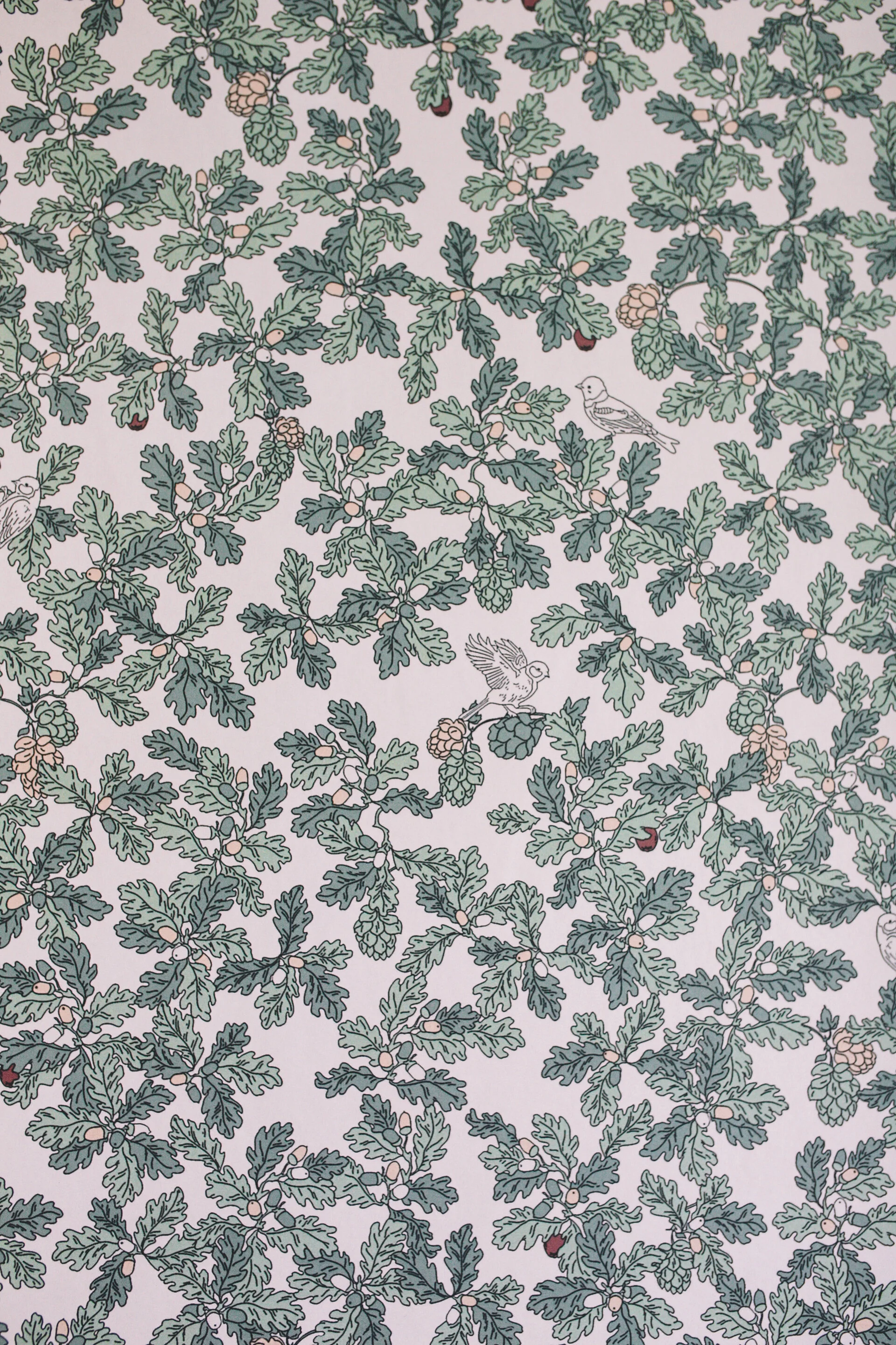 my mudroom makeover with photowall