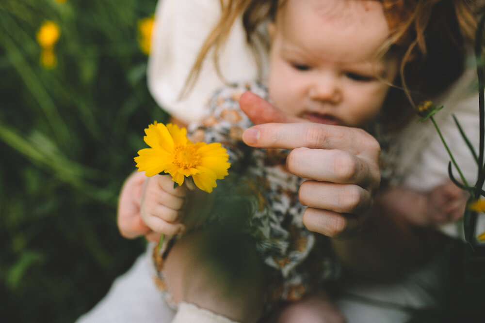 Newborn Genevieve Flower Field Chattanooga, TN (76 of 84).jpg