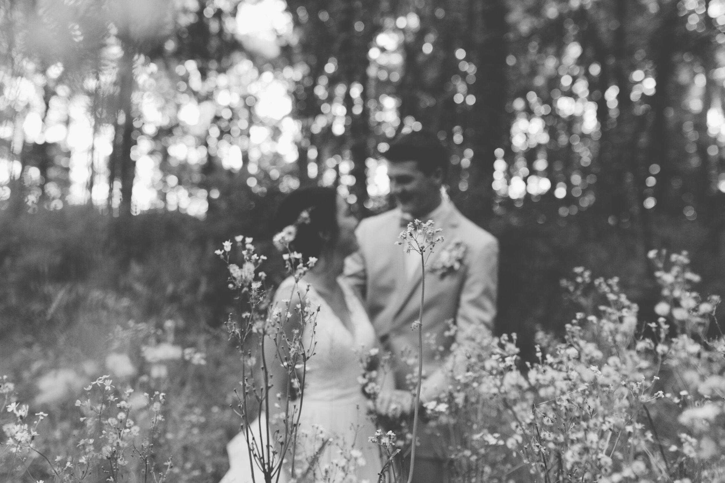 Jacob + Emily Sunny Indiana Barn Wedding Portraits (31 of 93).jpg