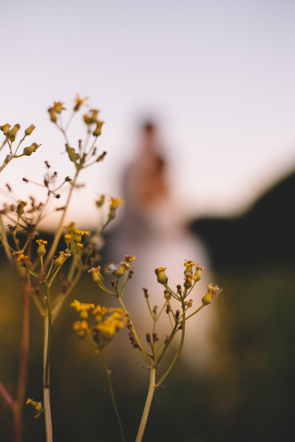 Jacob + Emily Sunny Indiana Barn Wedding Portraits (72 of 93).jpg